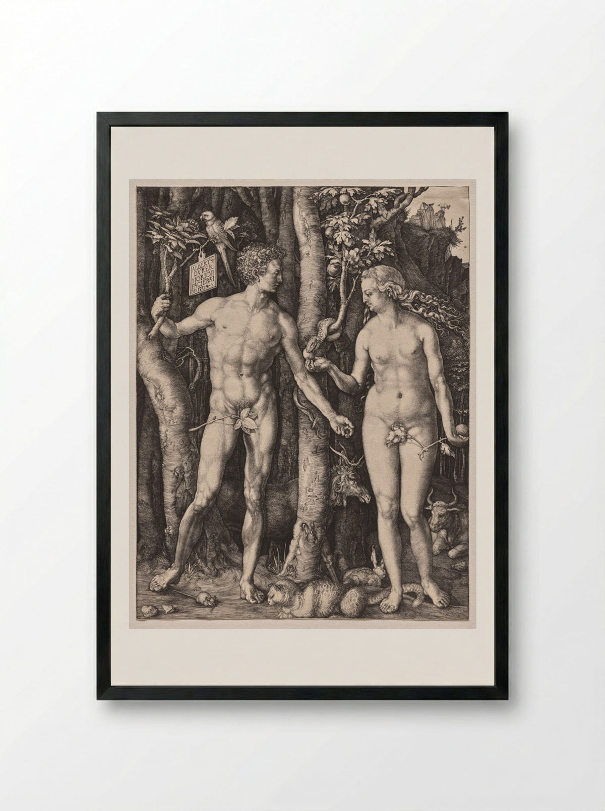 Adam and Eve - Albrecht Dürer - Framed Print Black