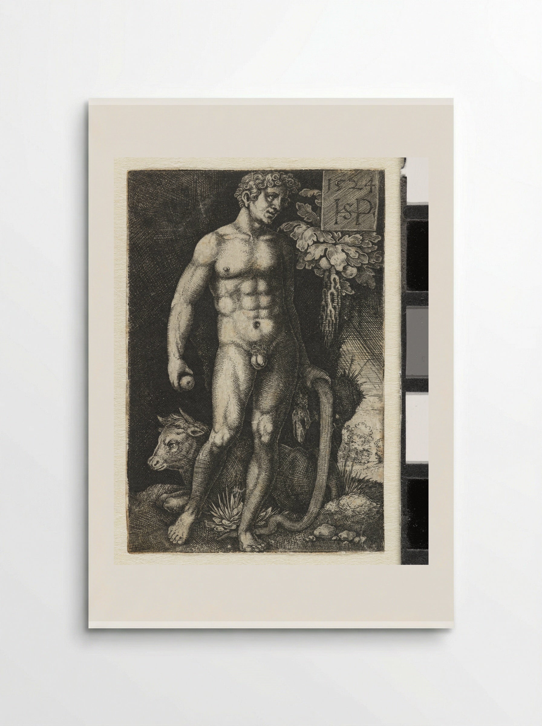 Adam with the Serpent and a Recumbent Bull - Hans Sebald Beham - Poster