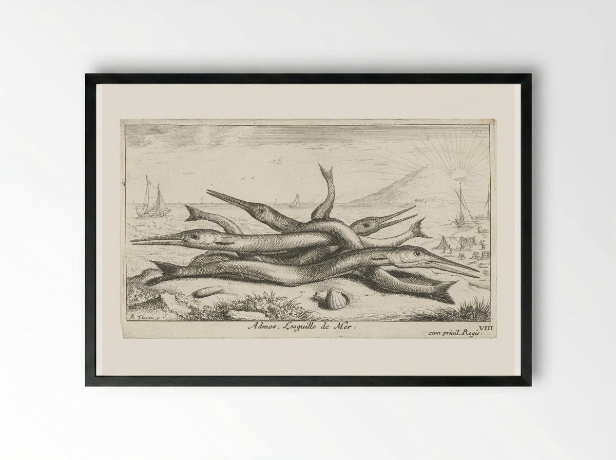 Admos. Lesquille de Mer - Albert Flamen - Framed Print Black