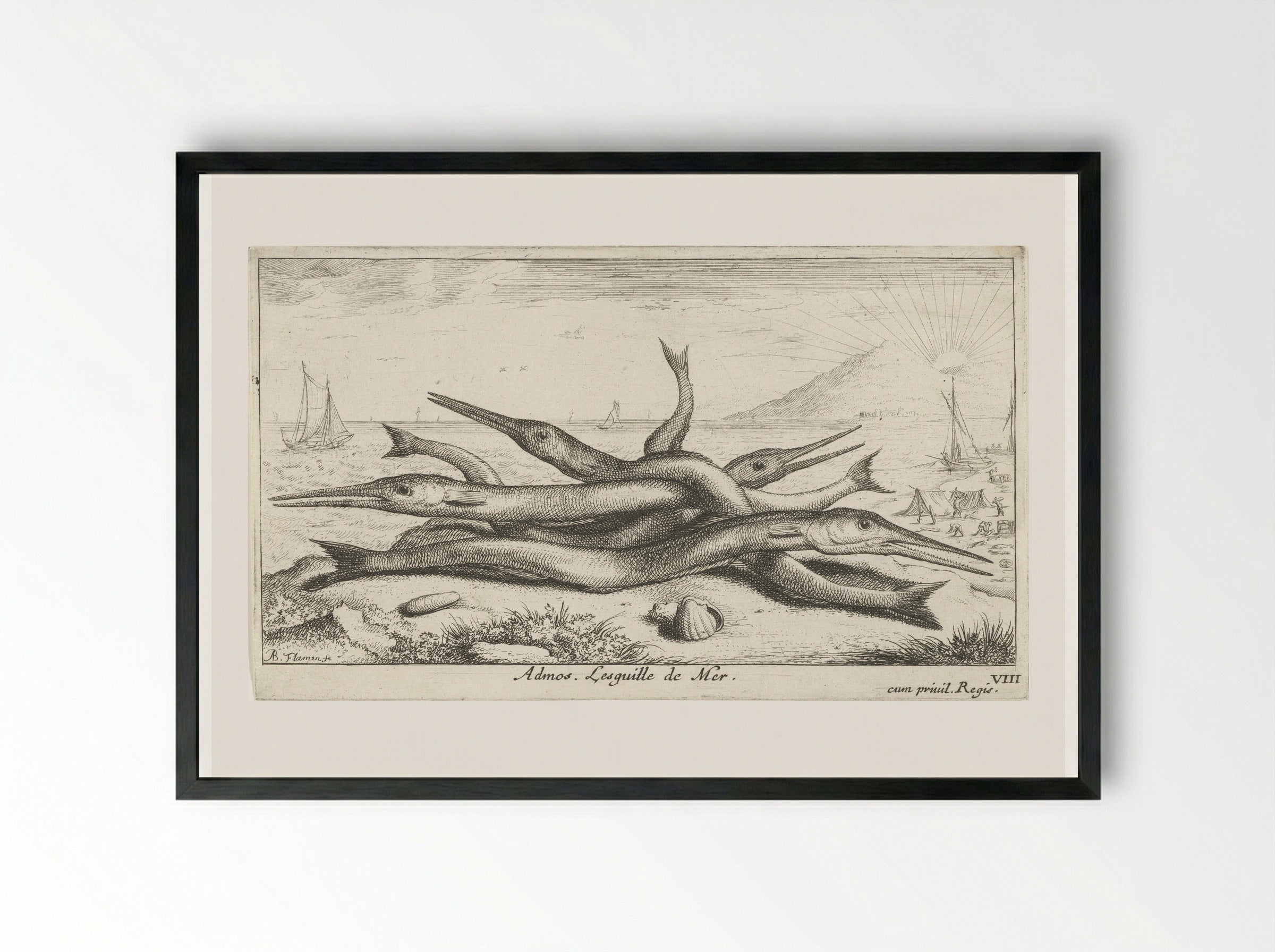 Admos. Lesquille de Mer - Albert Flamen - Framed Print Black