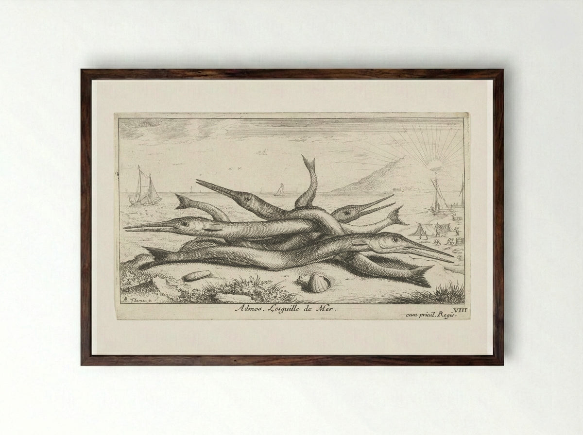 Admos. Lesquille de Mer - Albert Flamen - Framed Print Dark Wood