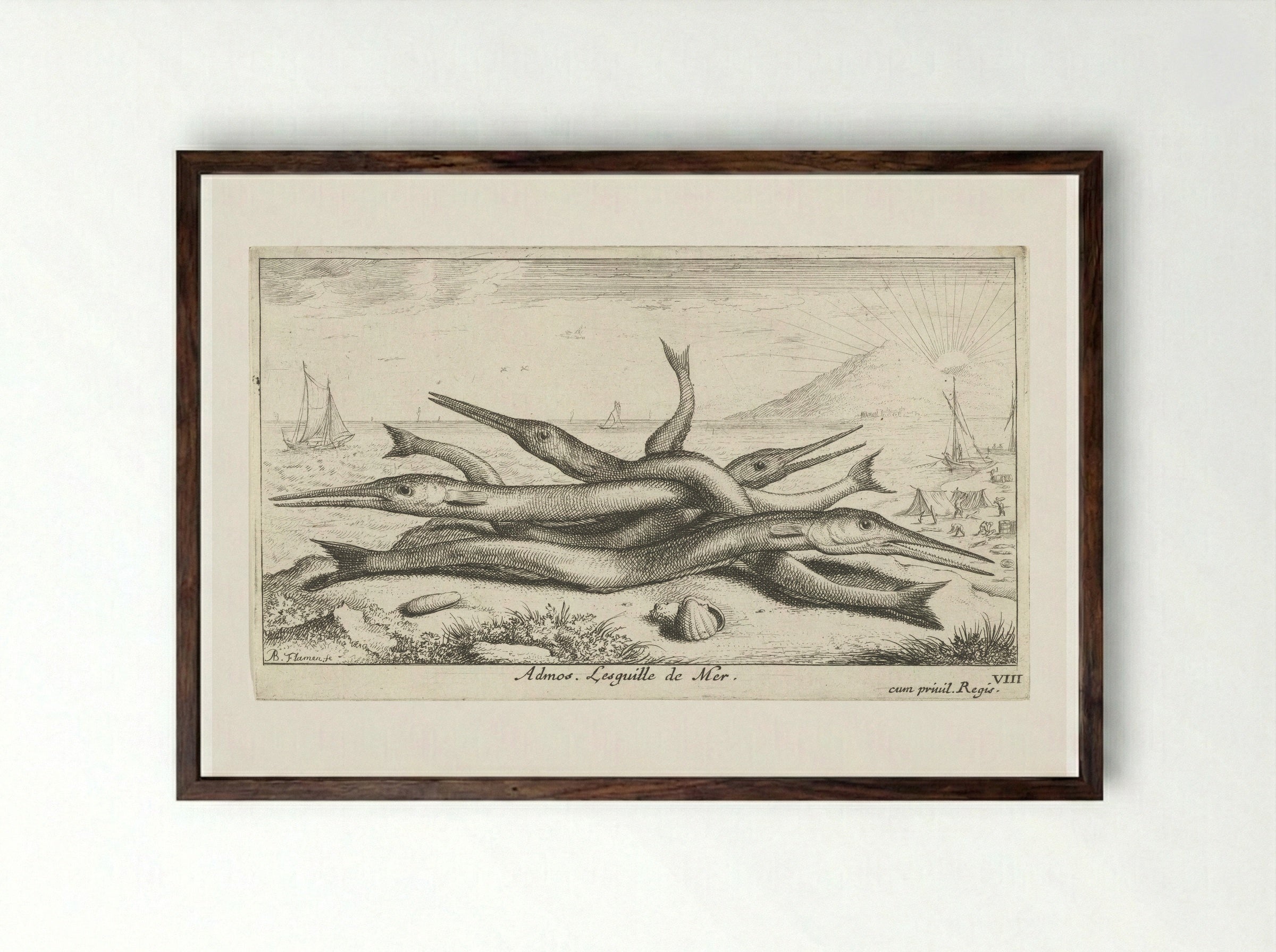 Admos. Lesquille de Mer - Albert Flamen - Framed Print Dark Wood