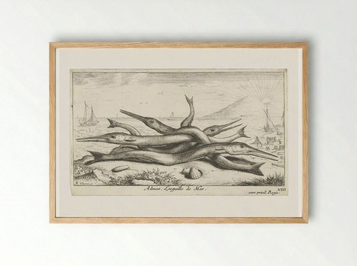 Admos. Lesquille de Mer - Albert Flamen - Framed Print Wood