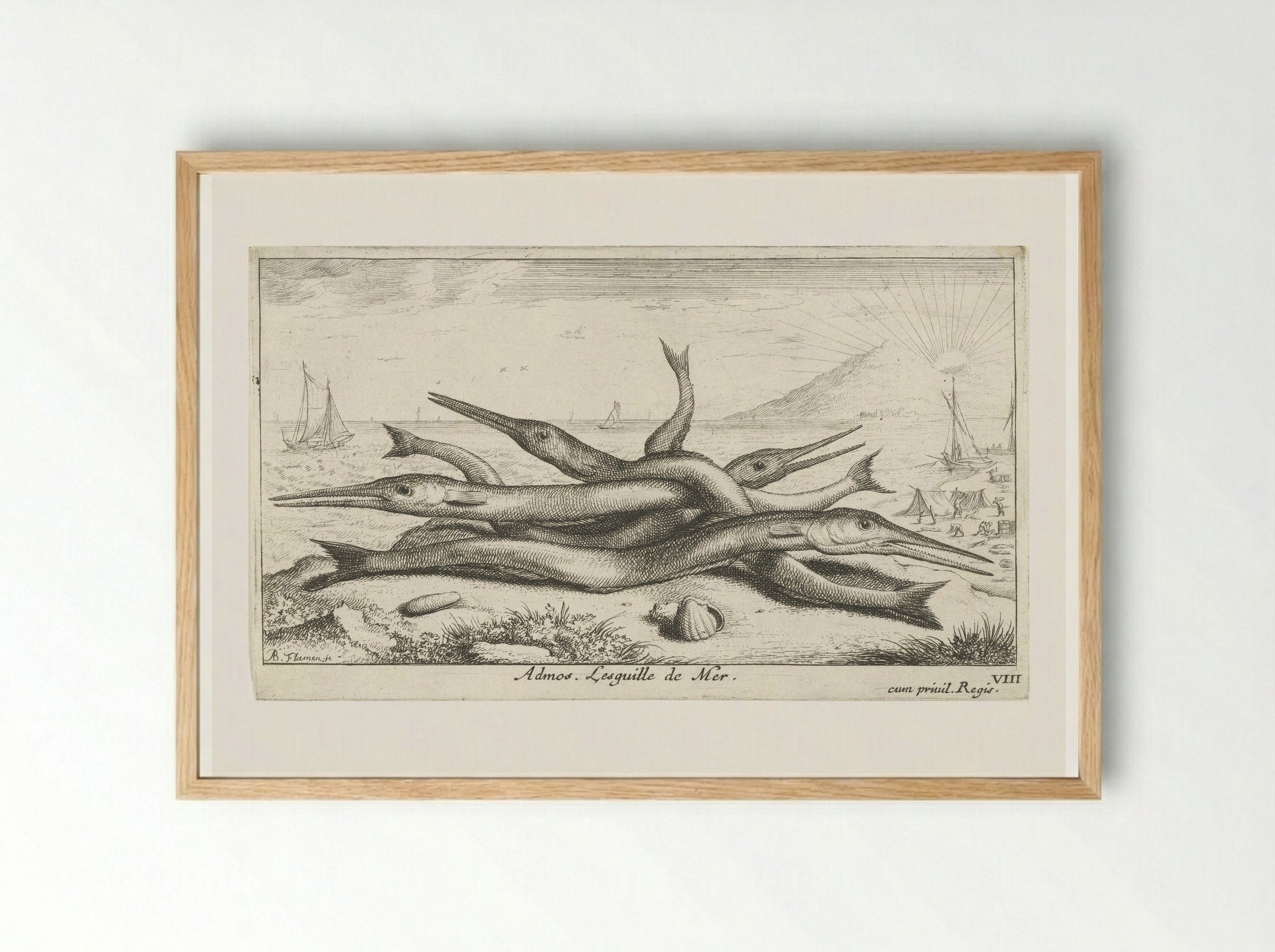 Admos. Lesquille de Mer - Albert Flamen - Framed Print Wood