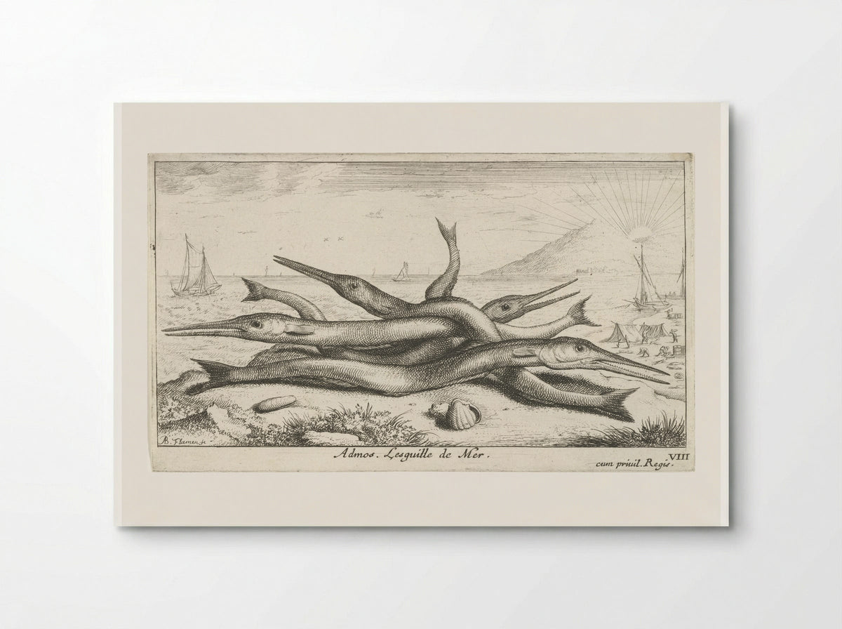 Admos. Lesquille de Mer - Albert Flamen - Poster