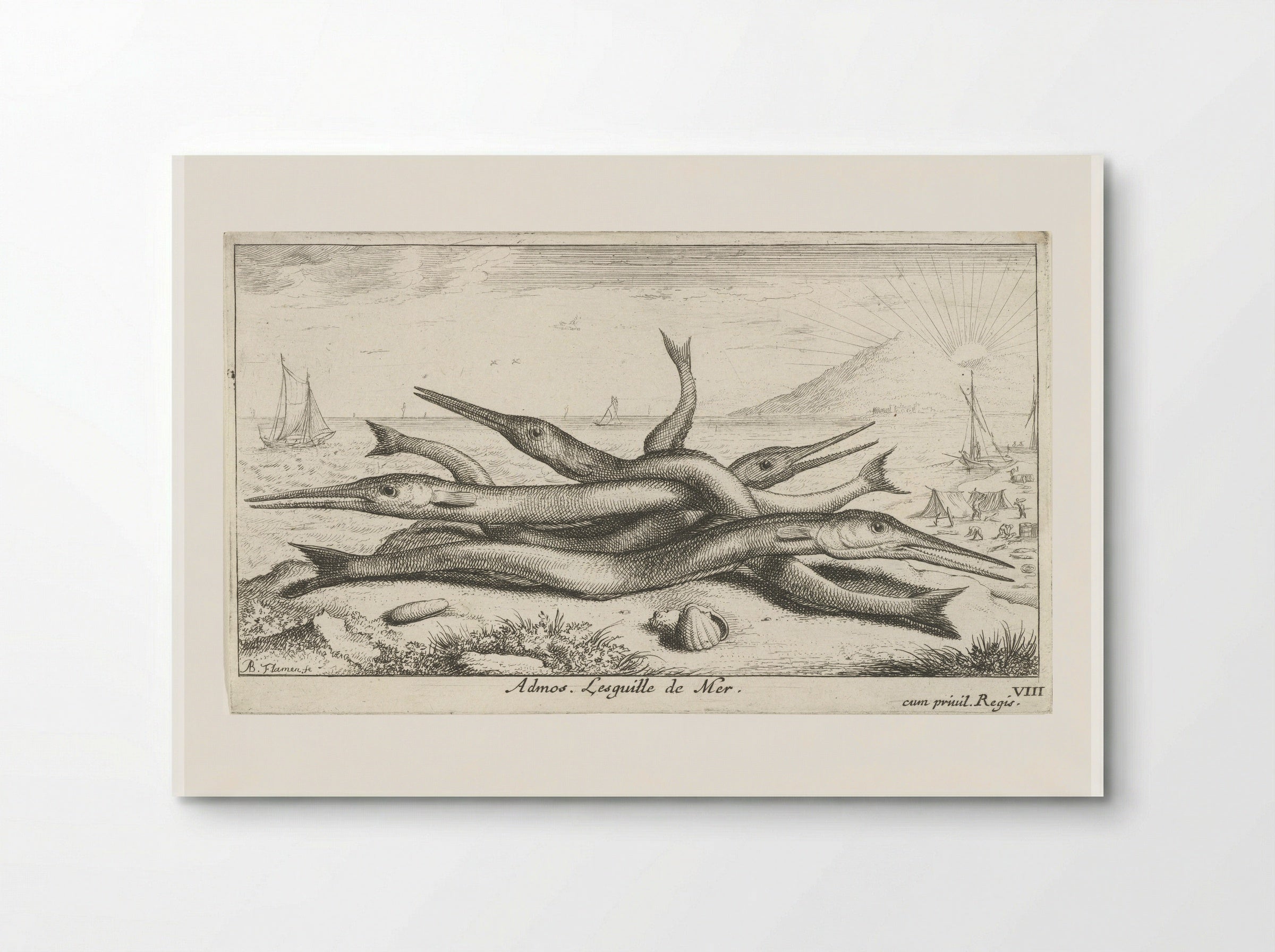 Admos. Lesquille de Mer - Albert Flamen - Poster