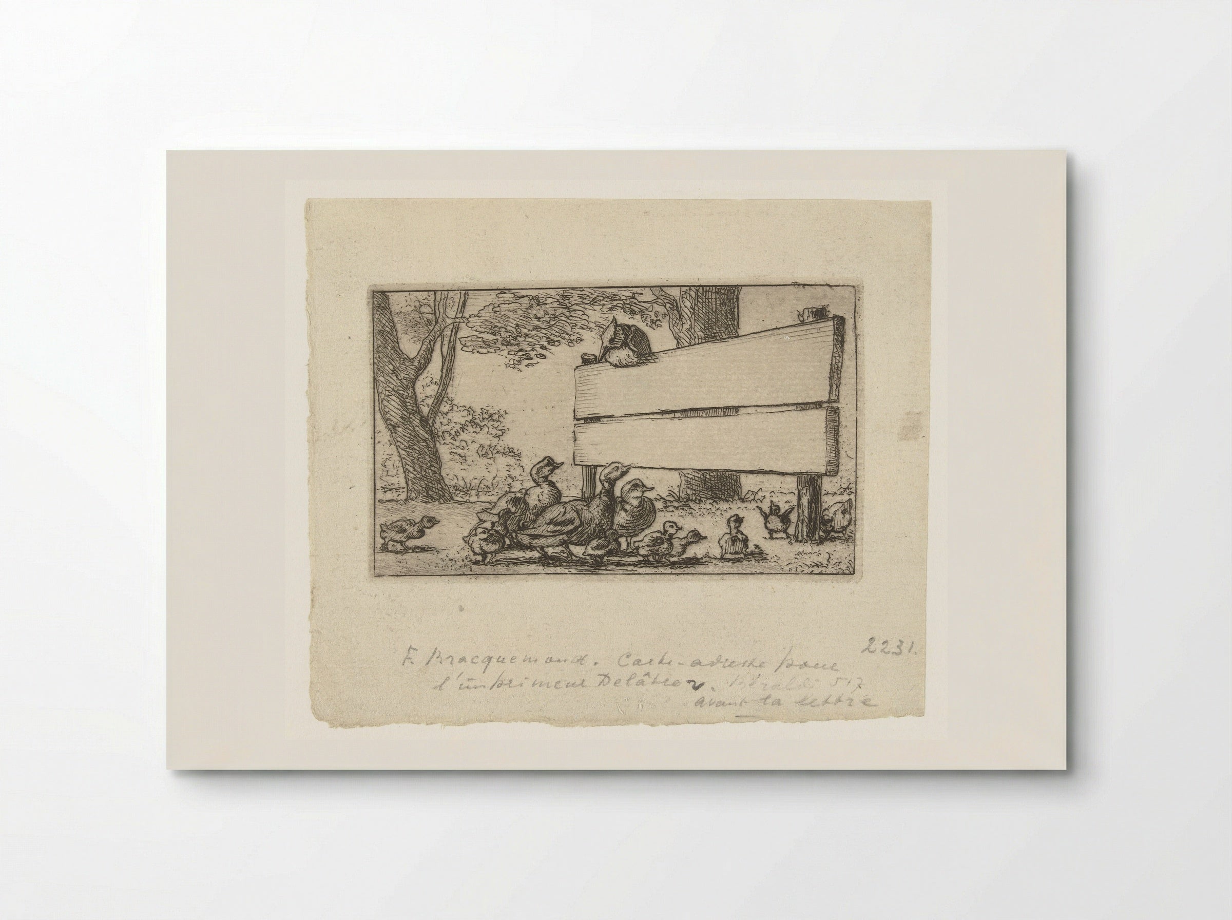 Adreskaart met eenden bij een houten hek voor de drukker Delâtre - Félix Bracquemond - Poster