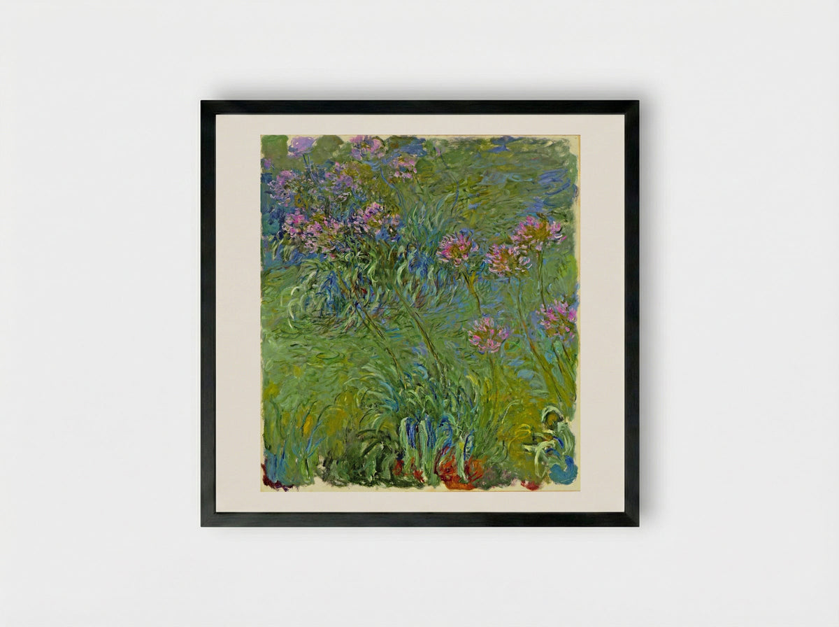 Agapanthus - Claude Monet - Framed Print Black