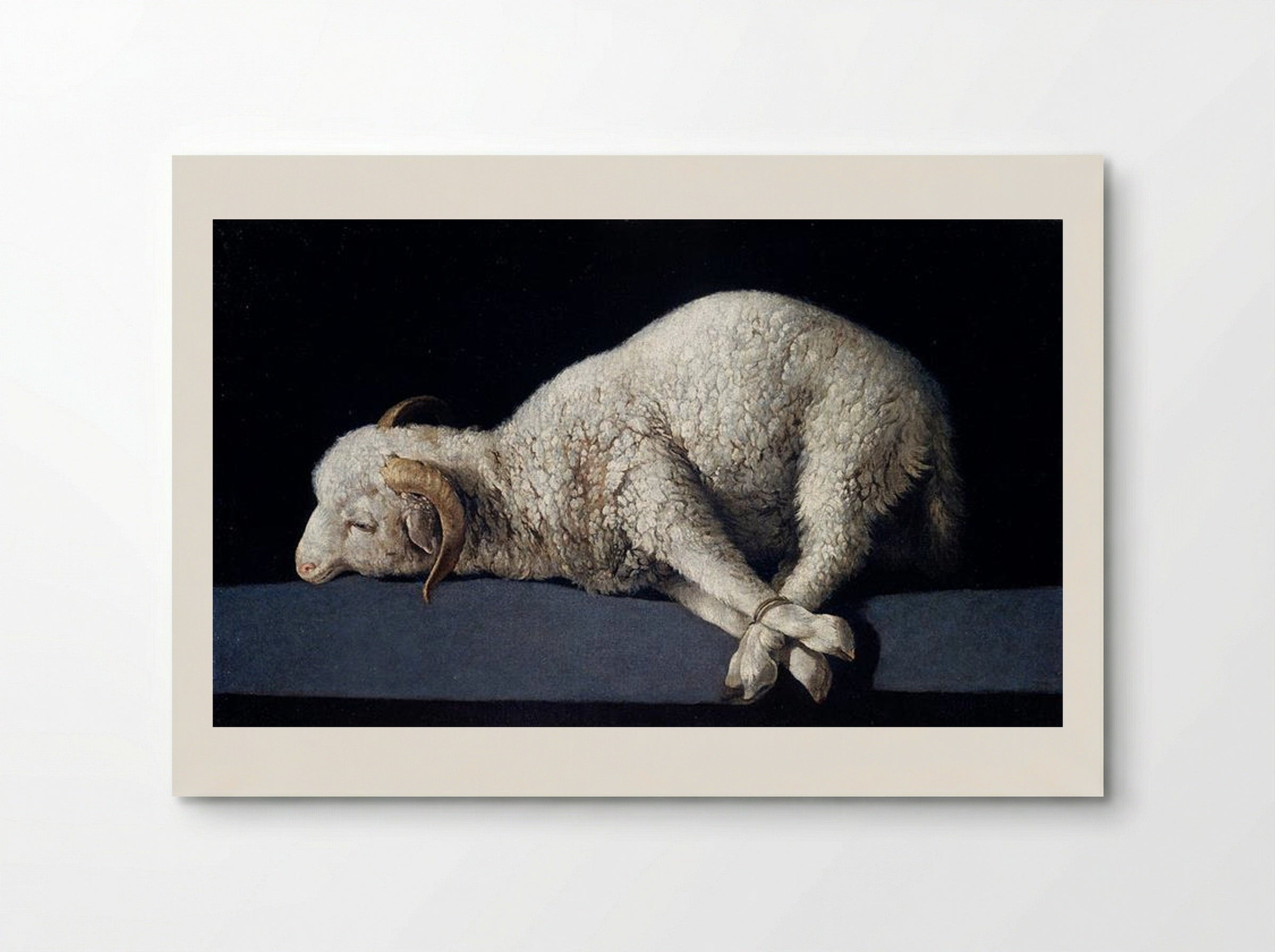 Agnus Dei - Francisco de Zurbarán - Poster