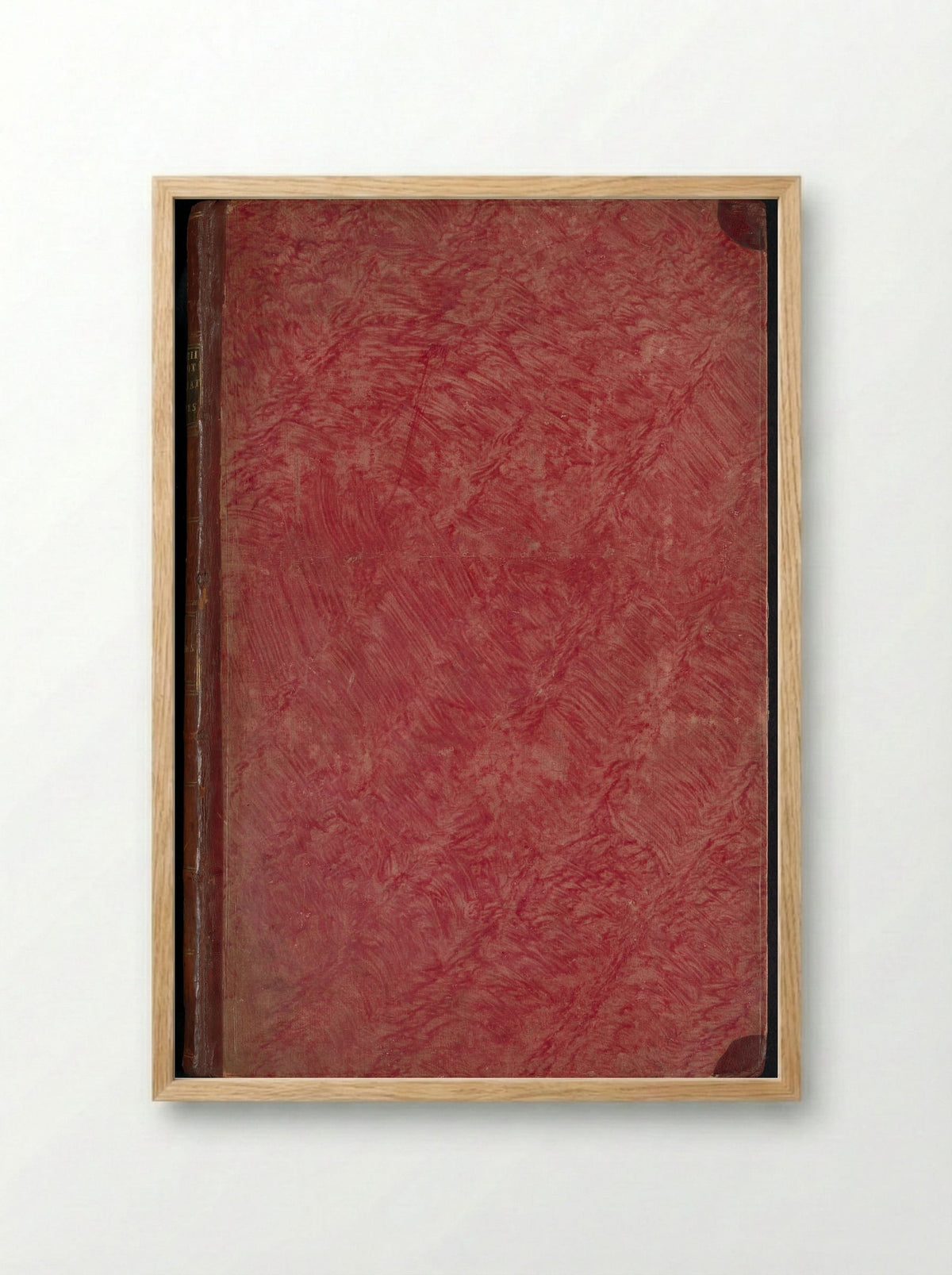 Album met bladen en platen uit De Boodts herbarium van 1640 - Joseph van Huerne - Framed Print Wood