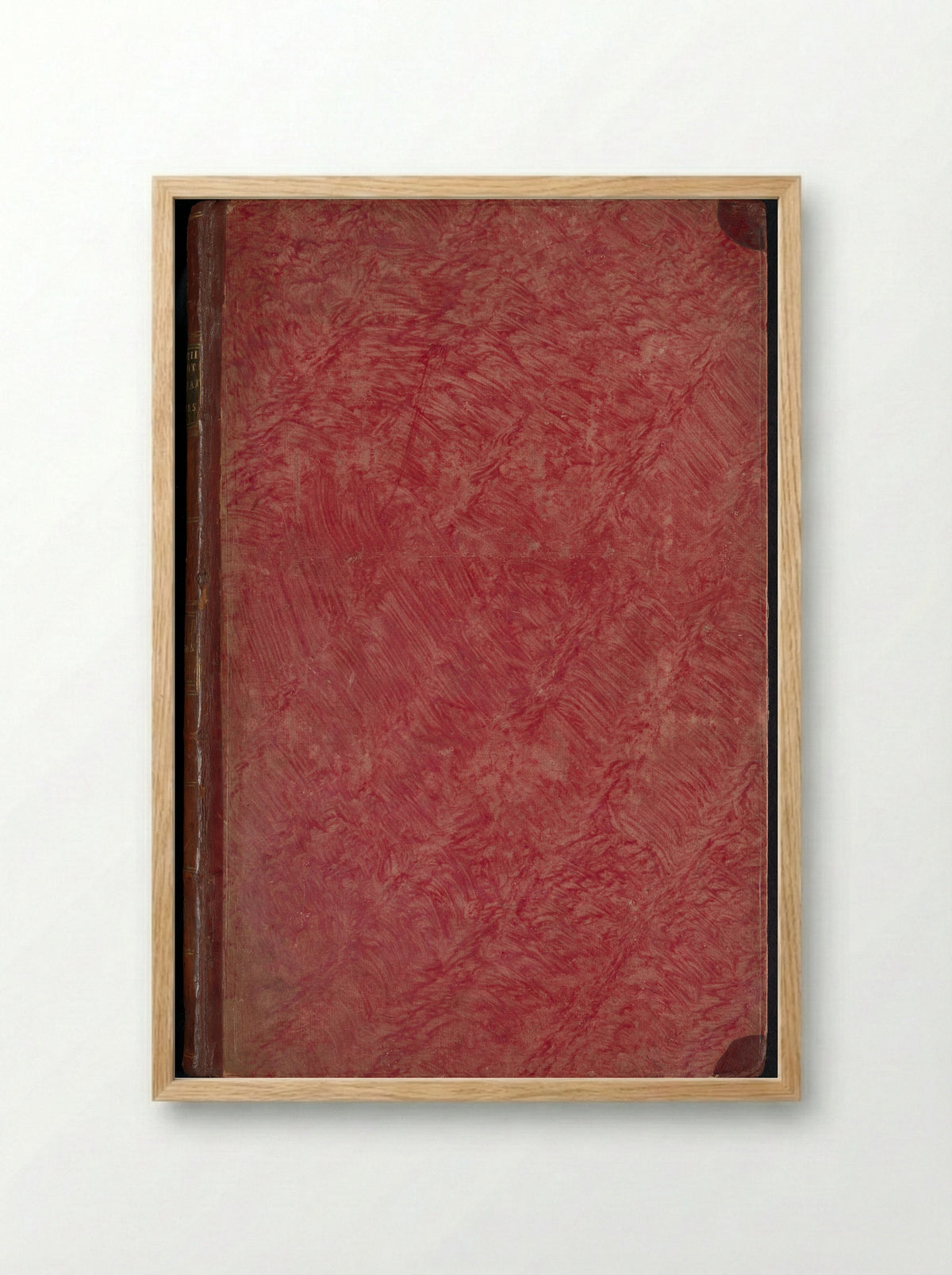 Album met bladen en platen uit De Boodts herbarium van 1640 - Joseph van Huerne - Framed Print Wood