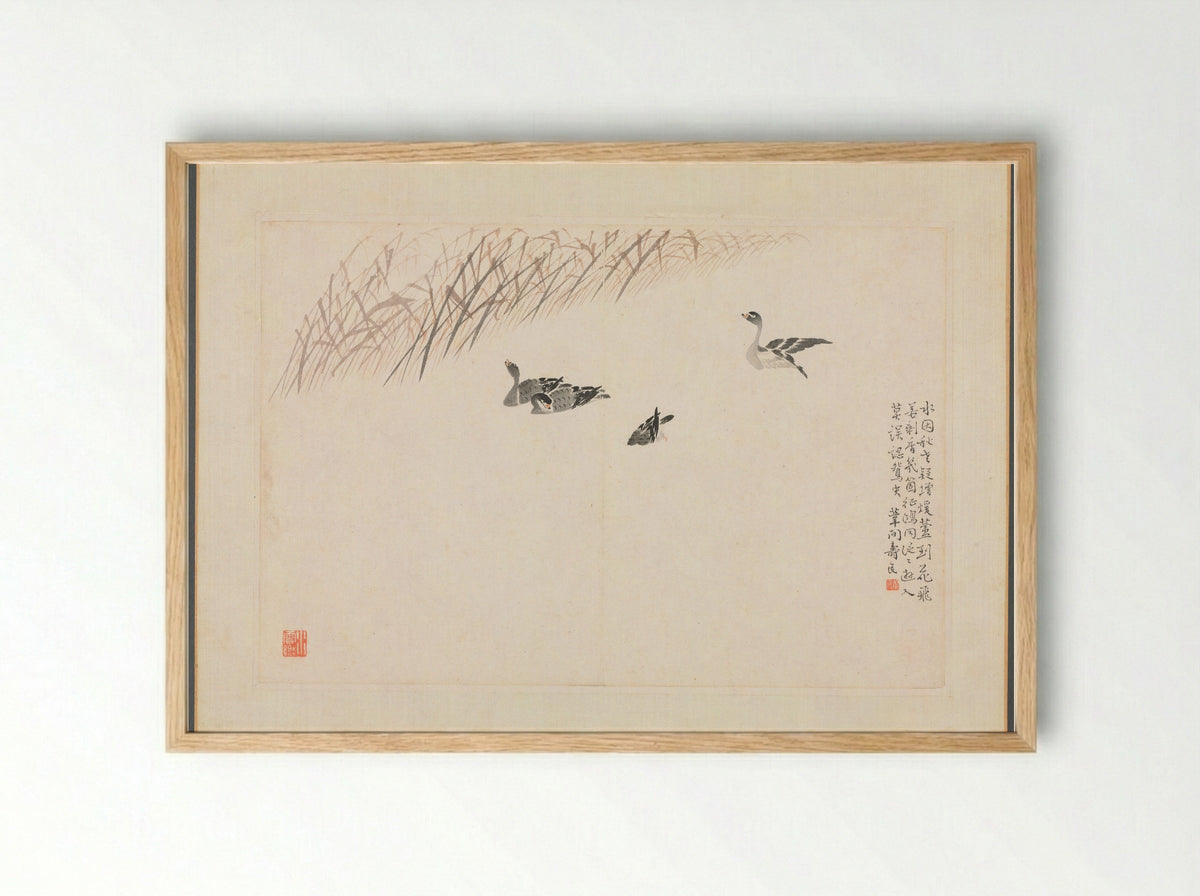 Album of Calligraphy and Paintings (Geese and Reeds) - Bian Shoumin - Framed Print Wood