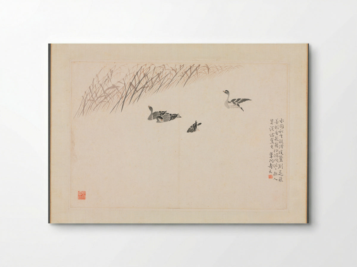 Album of Calligraphy and Paintings (Geese and Reeds) - Bian Shoumin - Poster