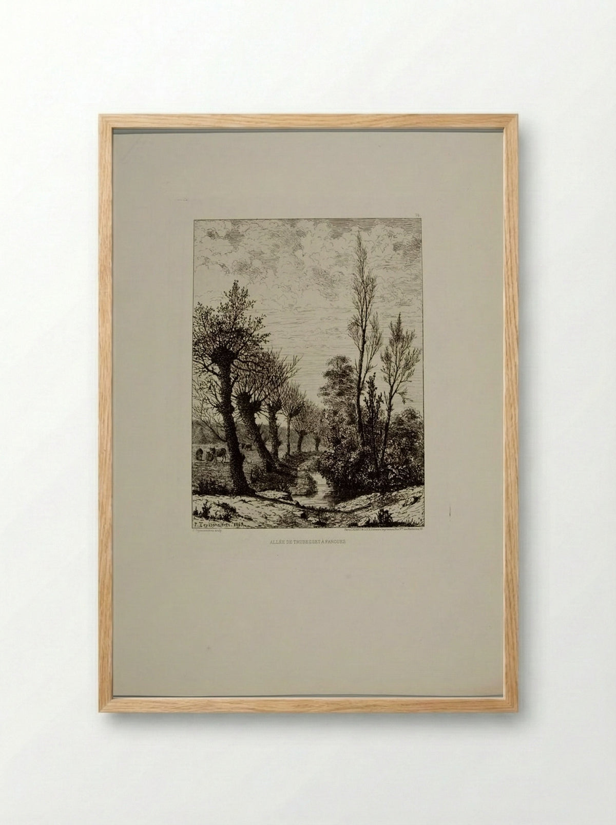 Allée de Trubesset à Fargues - Pierre Teyssonnières - Framed Print Wood
