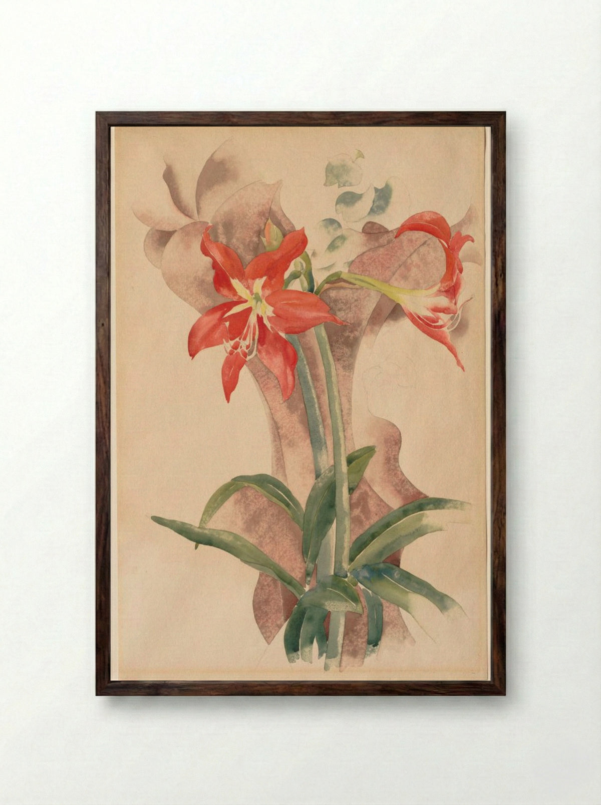 Amaryllis - Charles Demuth - Framed Print Dark Wood