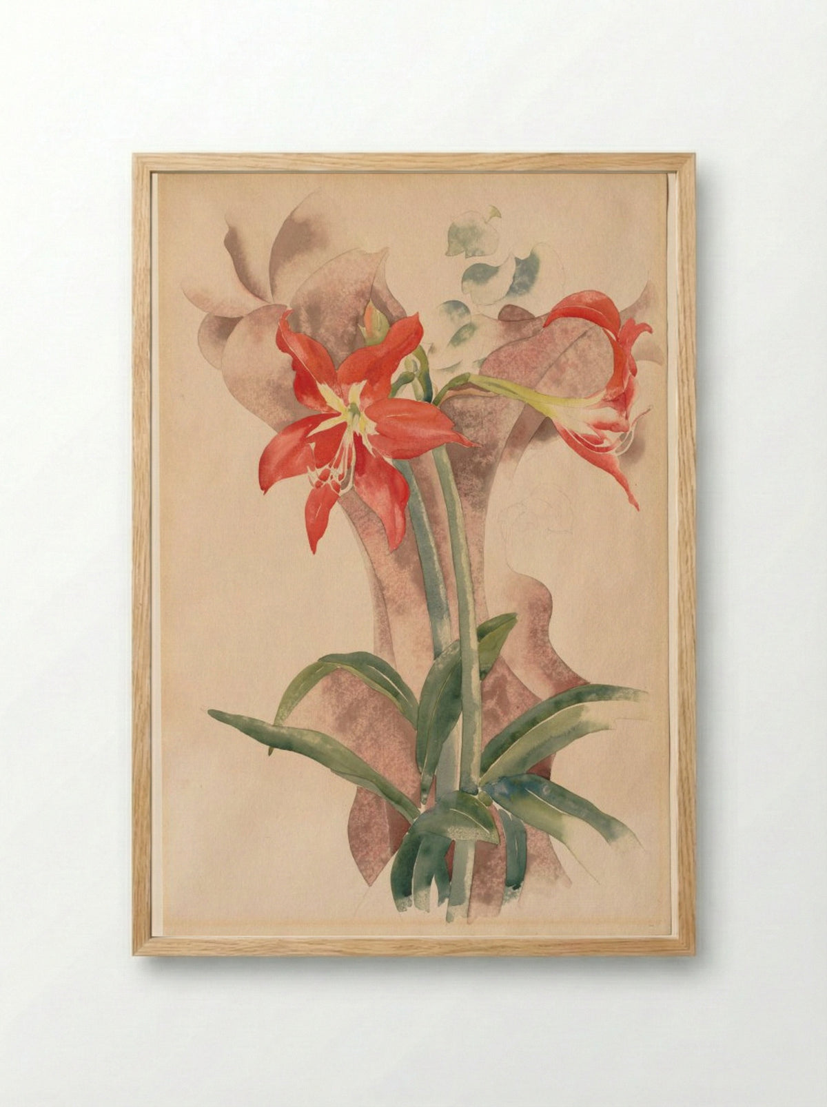 Amaryllis - Charles Demuth - Framed Print Wood