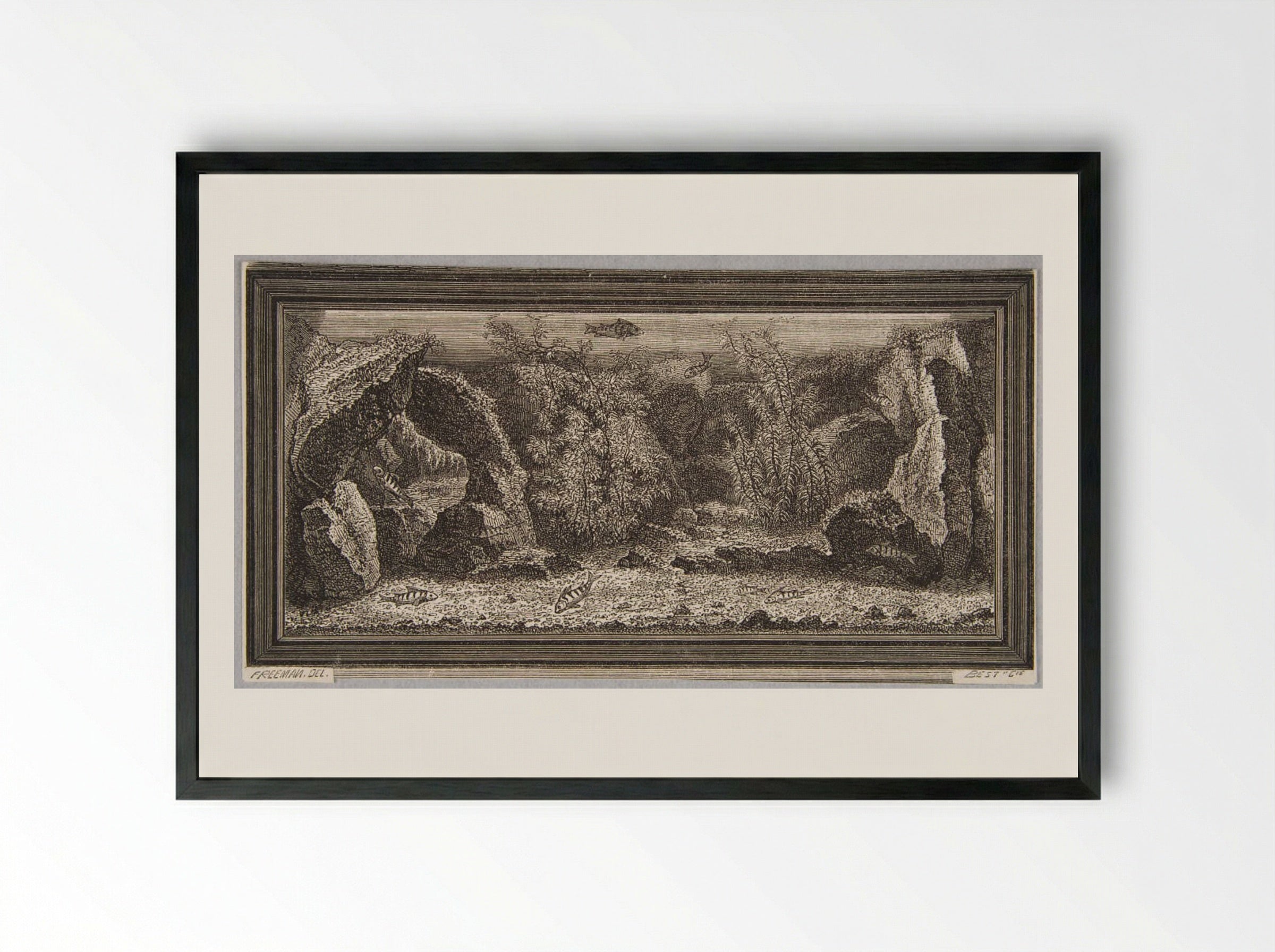 An Aquarium - Best et Cie - Framed Print Black