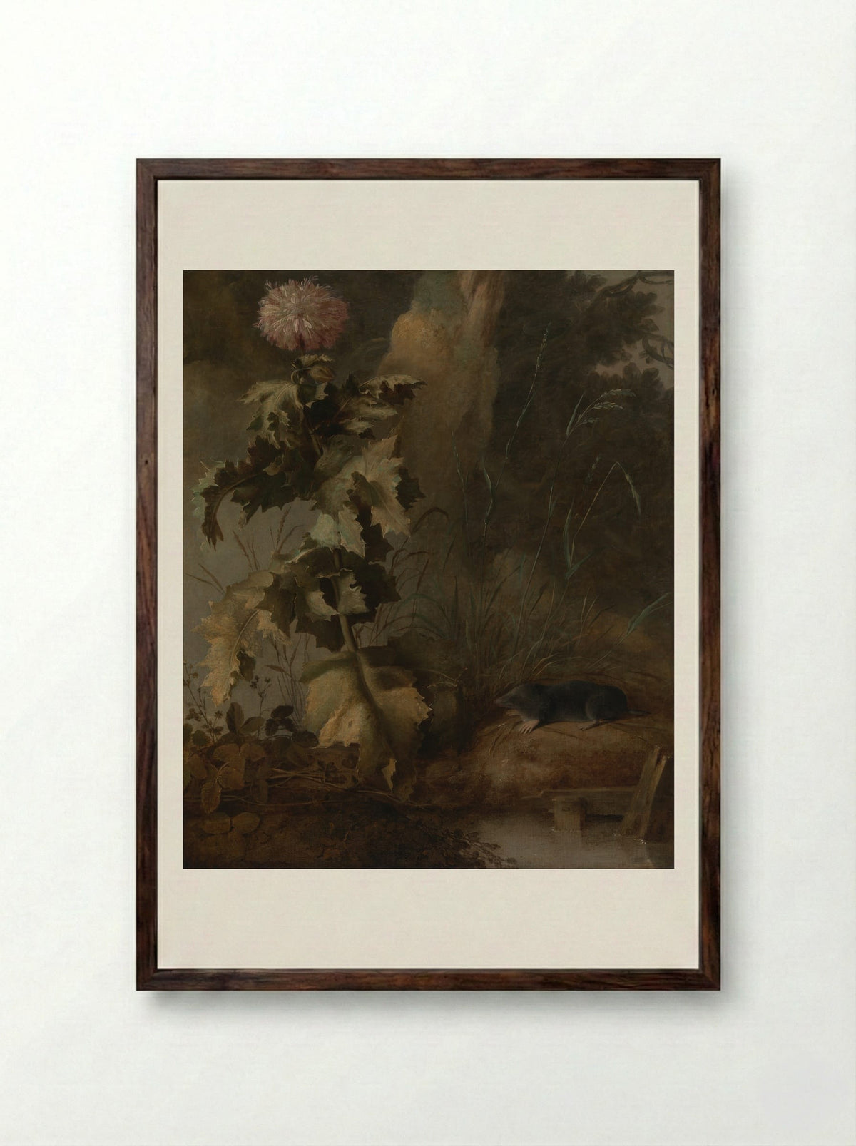 An Egyptian Poppy and a Water Mole - John Crome - Framed Print Dark Wood