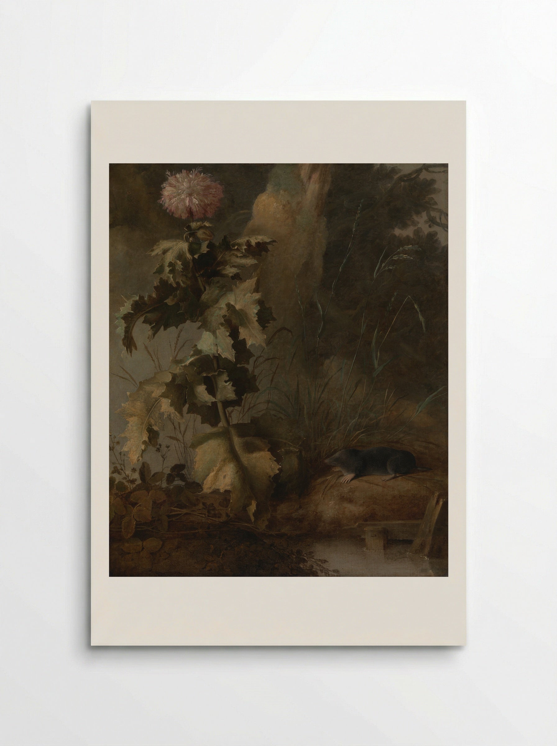 An Egyptian Poppy and a Water Mole - John Crome - Poster