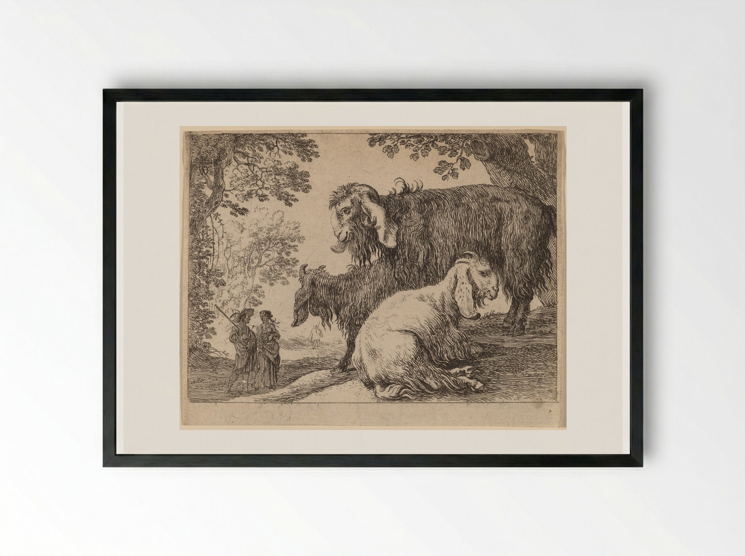 Angora Sheep - Herman van Swanevelt - Framed Print Black