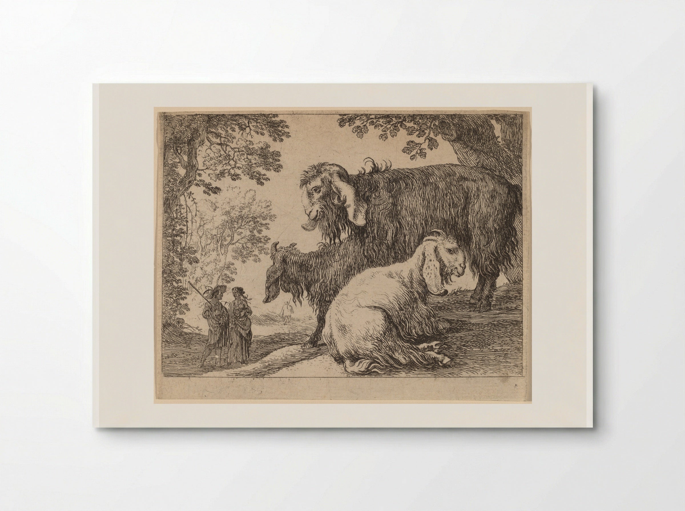 Angora Sheep - Herman van Swanevelt - Poster