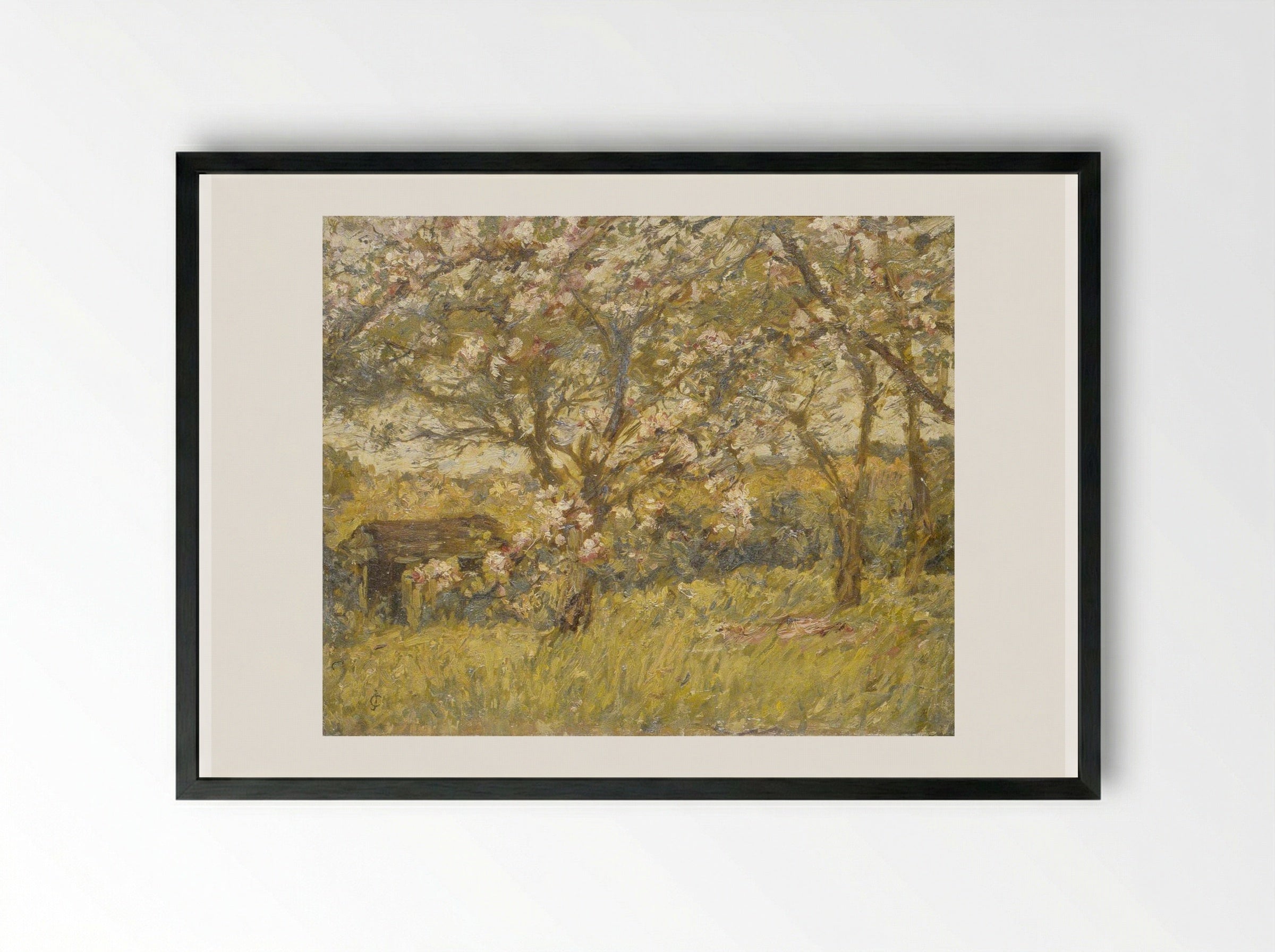 Apple Blossom - James Charles - Framed Print Black