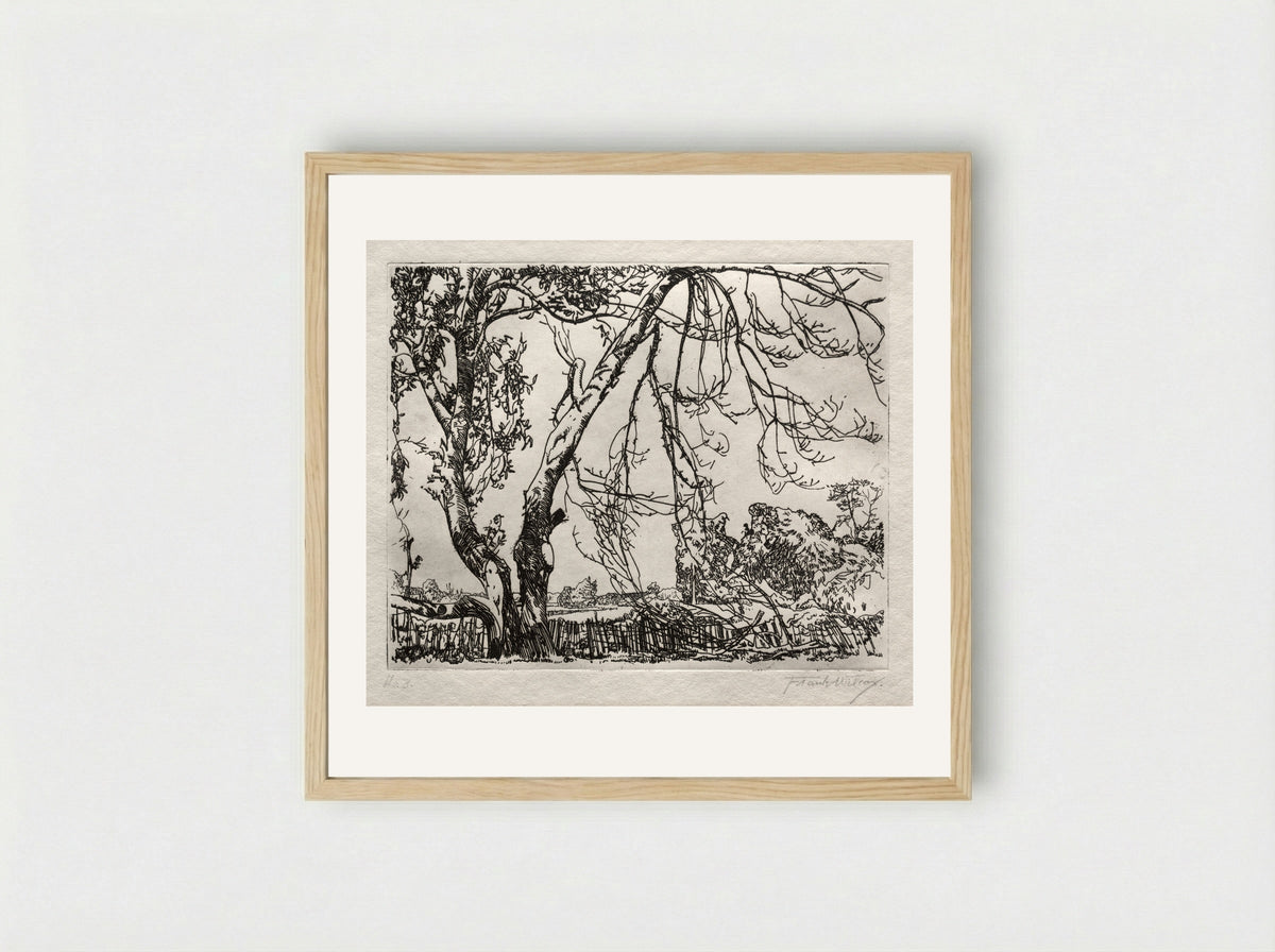 Apple Tree - Frank Wilcox - Framed Print Wood