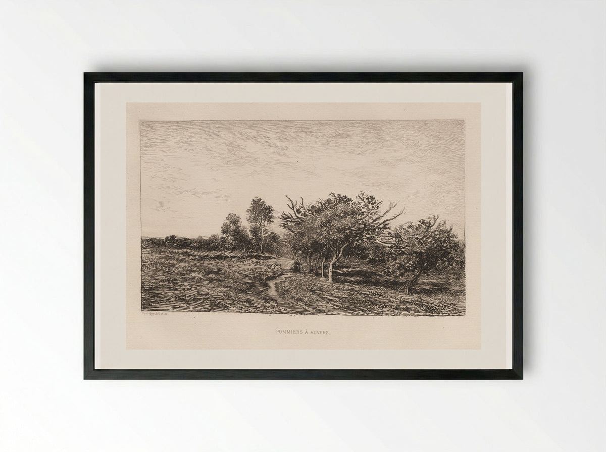 Apple Trees at Auvers - Charles-François Daubigny - Framed Print Black