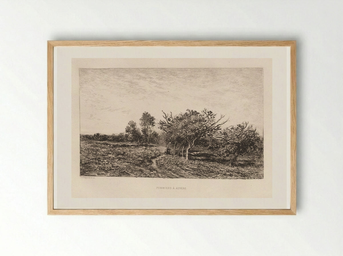 Apple Trees at Auvers - Charles-François Daubigny - Framed Print Wood