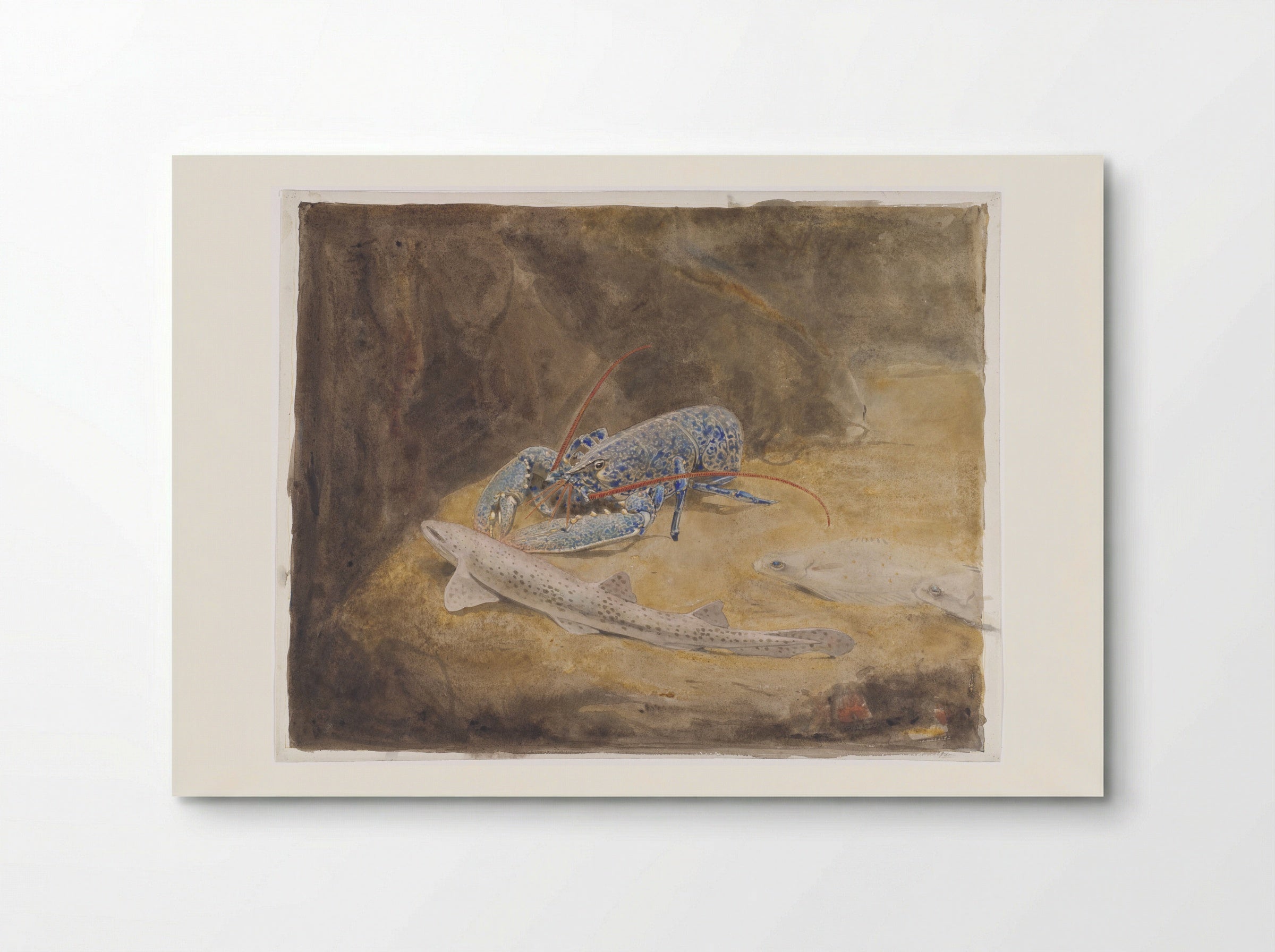 Aquarium with Three North Sea Fish: Lobster, Dogfish and Plaice - Gerrit Willem Dijsselhof - Poster