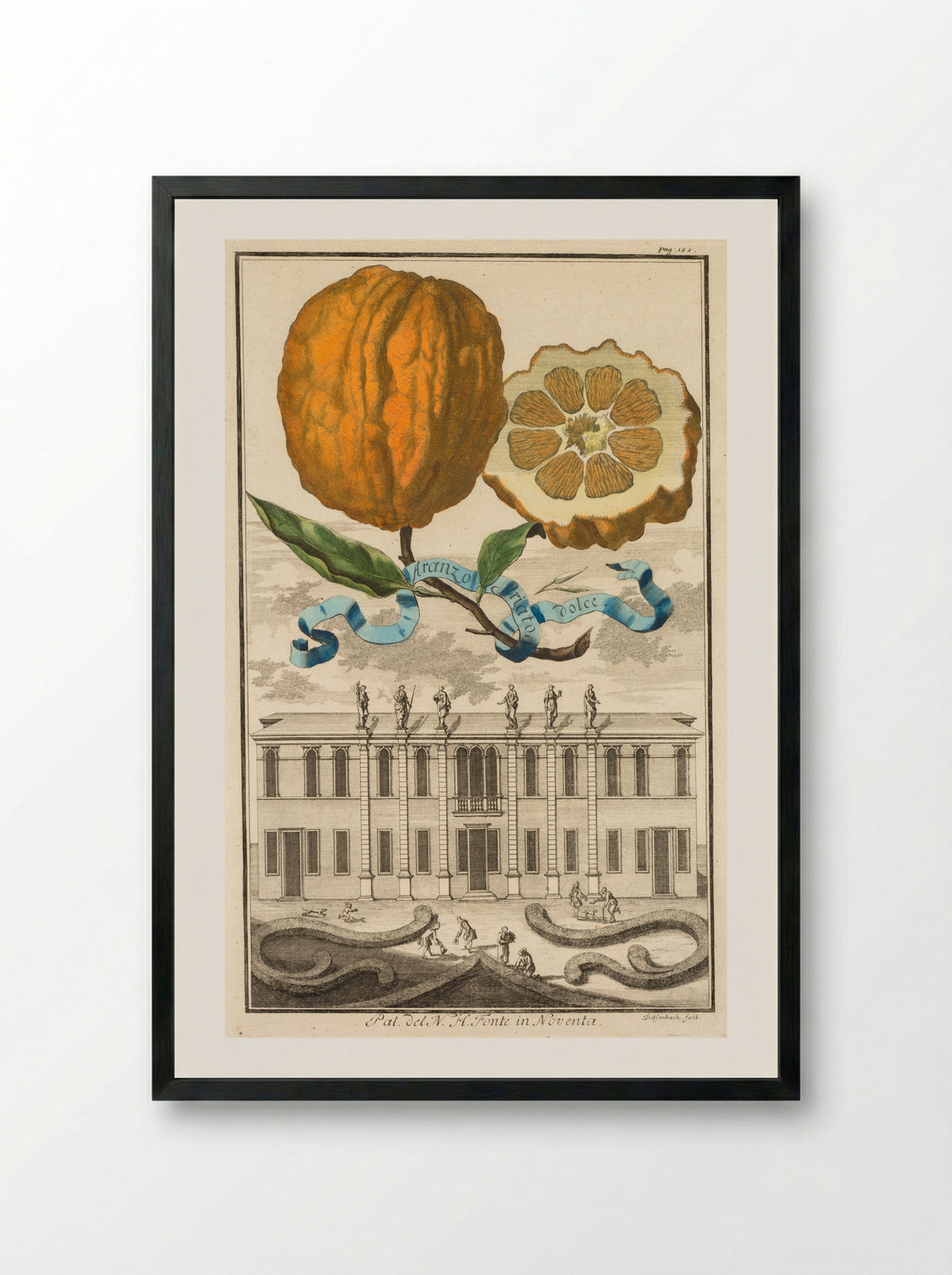 Aranzo Striato dolce - Joseph de Montalegre - Framed Print Black