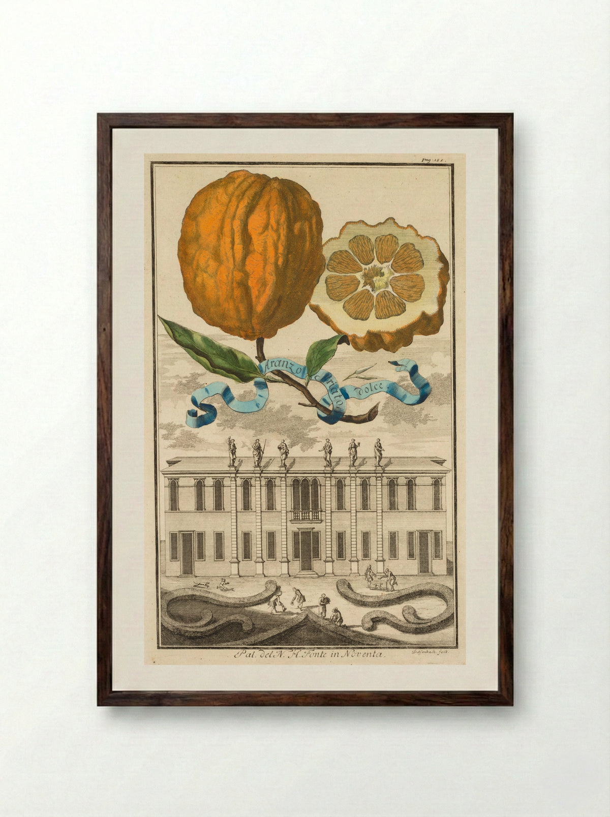 Aranzo Striato dolce - Joseph de Montalegre - Framed Print Dark Wood
