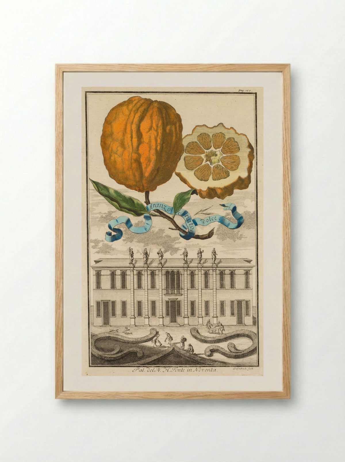 Aranzo Striato dolce - Joseph de Montalegre - Framed Print Wood