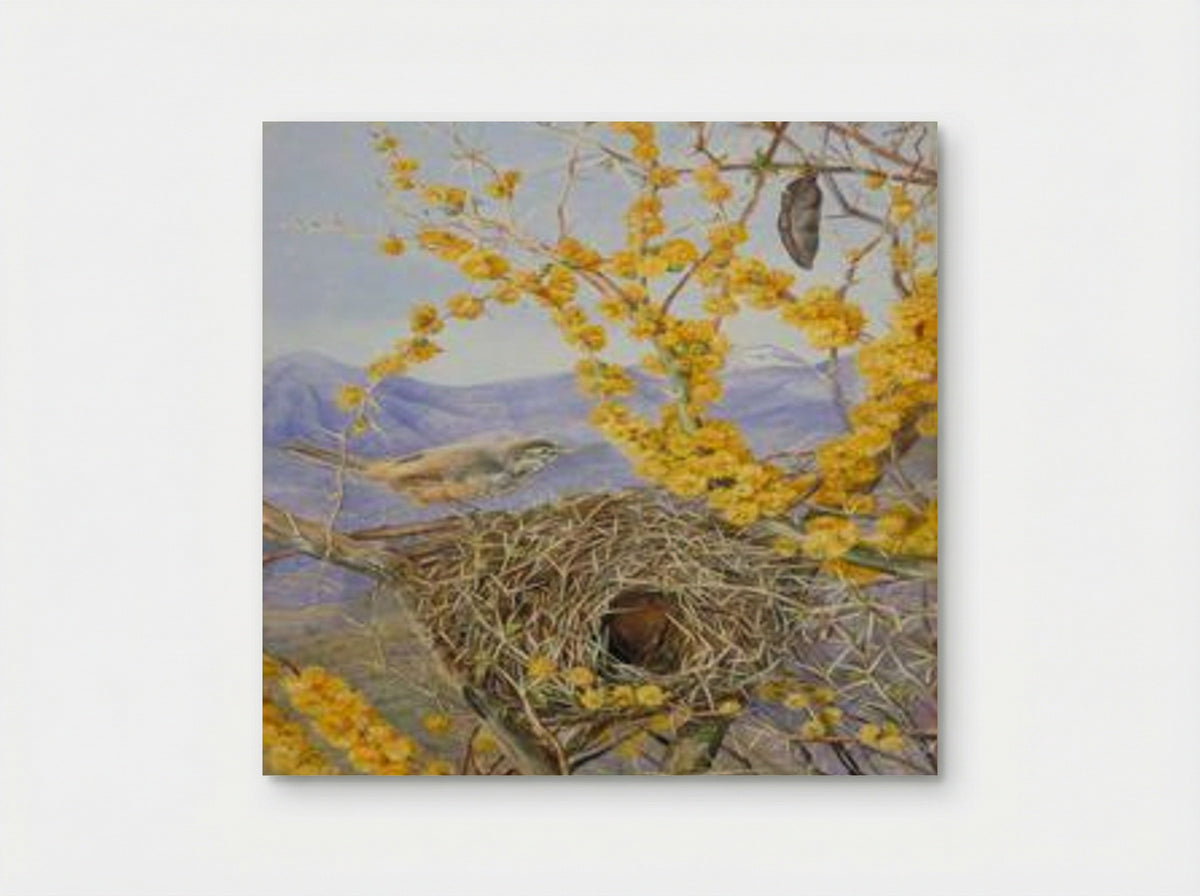 Armed Bird's Nest in Acacia Bush, Chile - Marianne North - Poster
