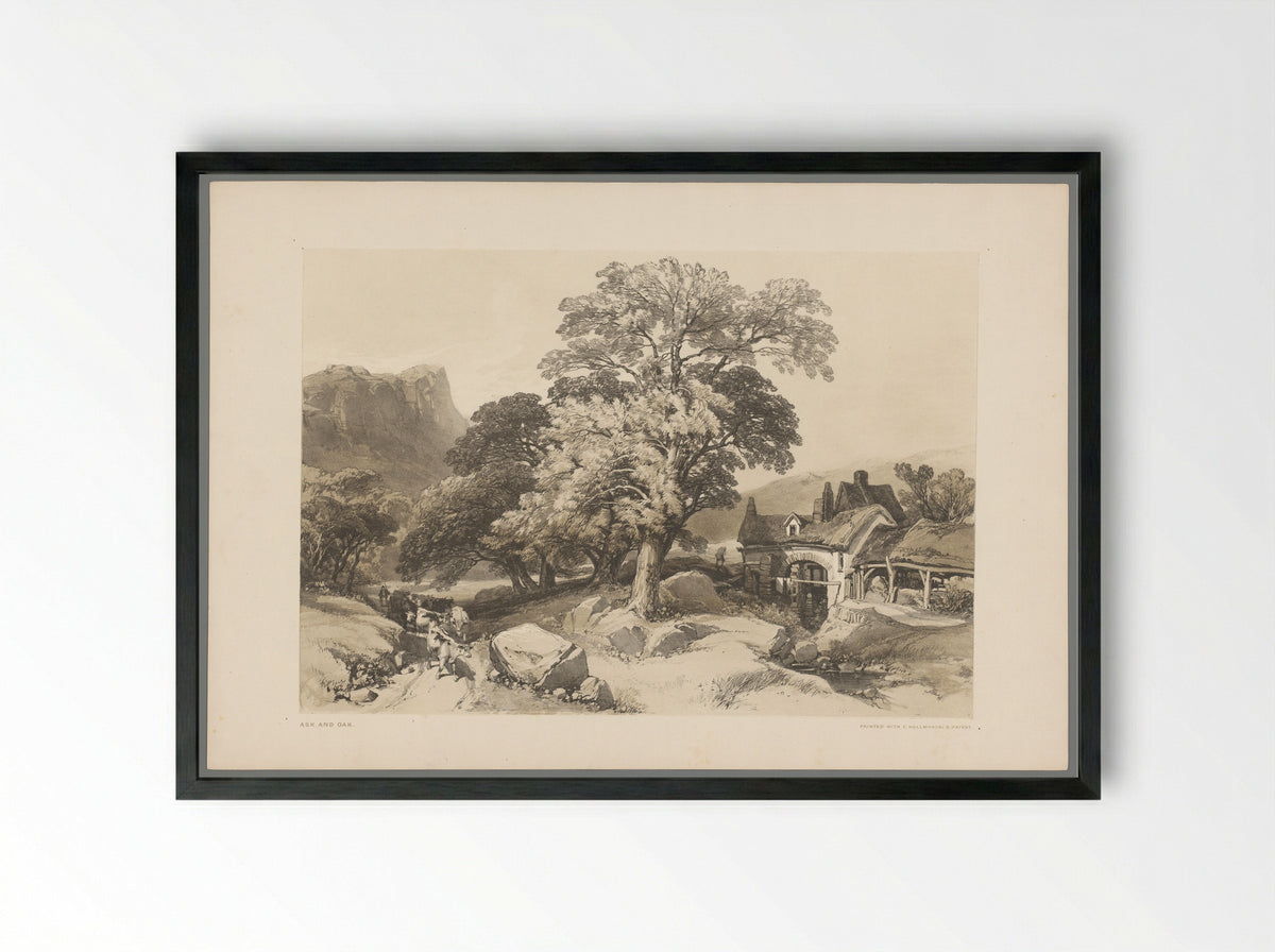 Ash and Oak - Thomas McLean - Framed Print Black
