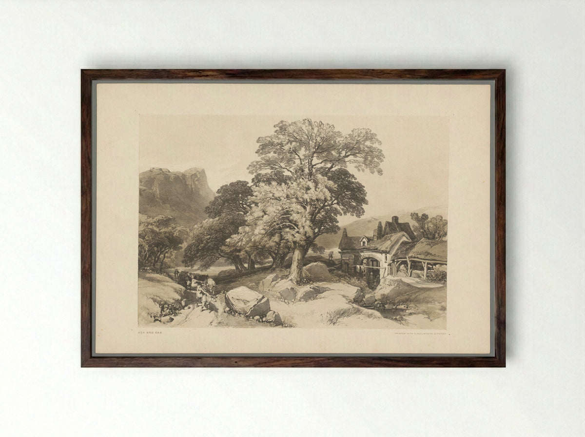Ash and Oak - Thomas McLean - Framed Print Dark Wood
