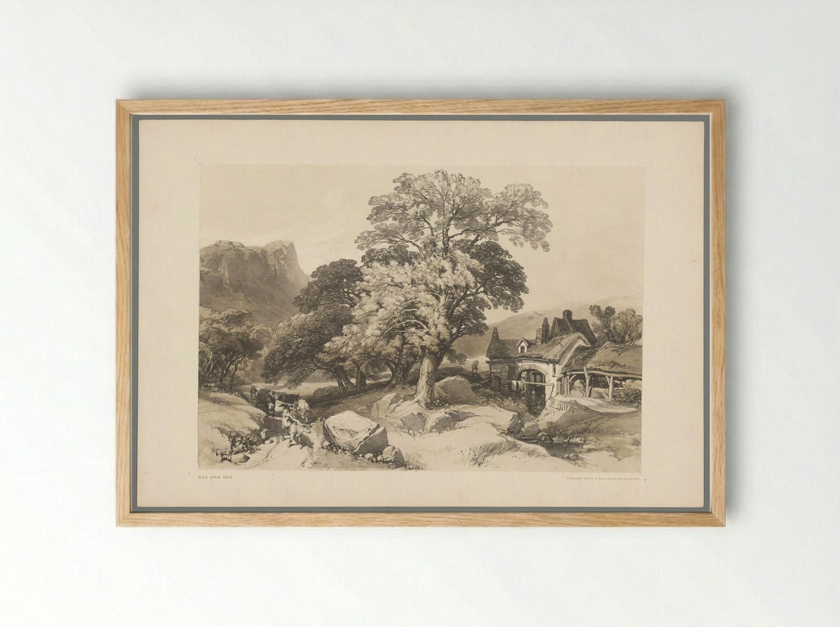 Ash and Oak - Thomas McLean - Framed Print Wood