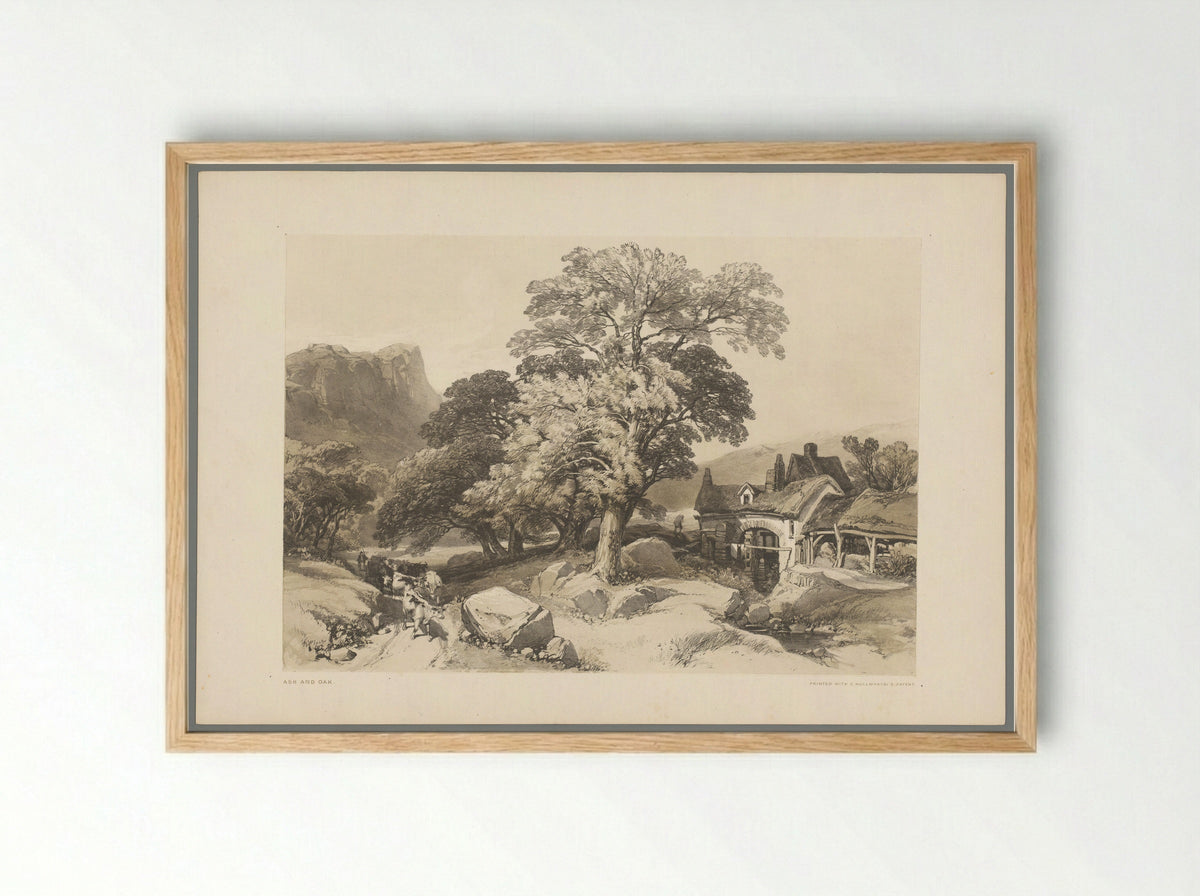Ash and Oak - Thomas McLean - Framed Print Wood