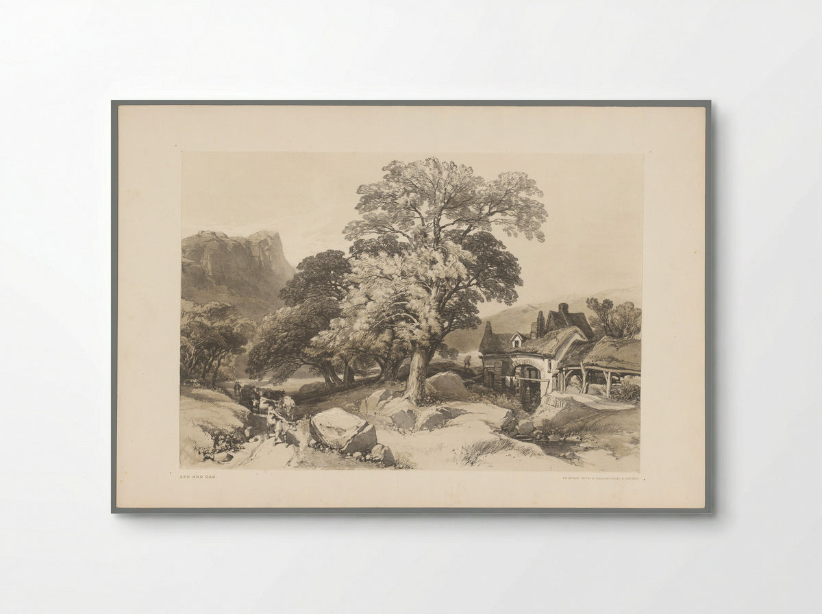 Ash and Oak - Thomas McLean - Poster
