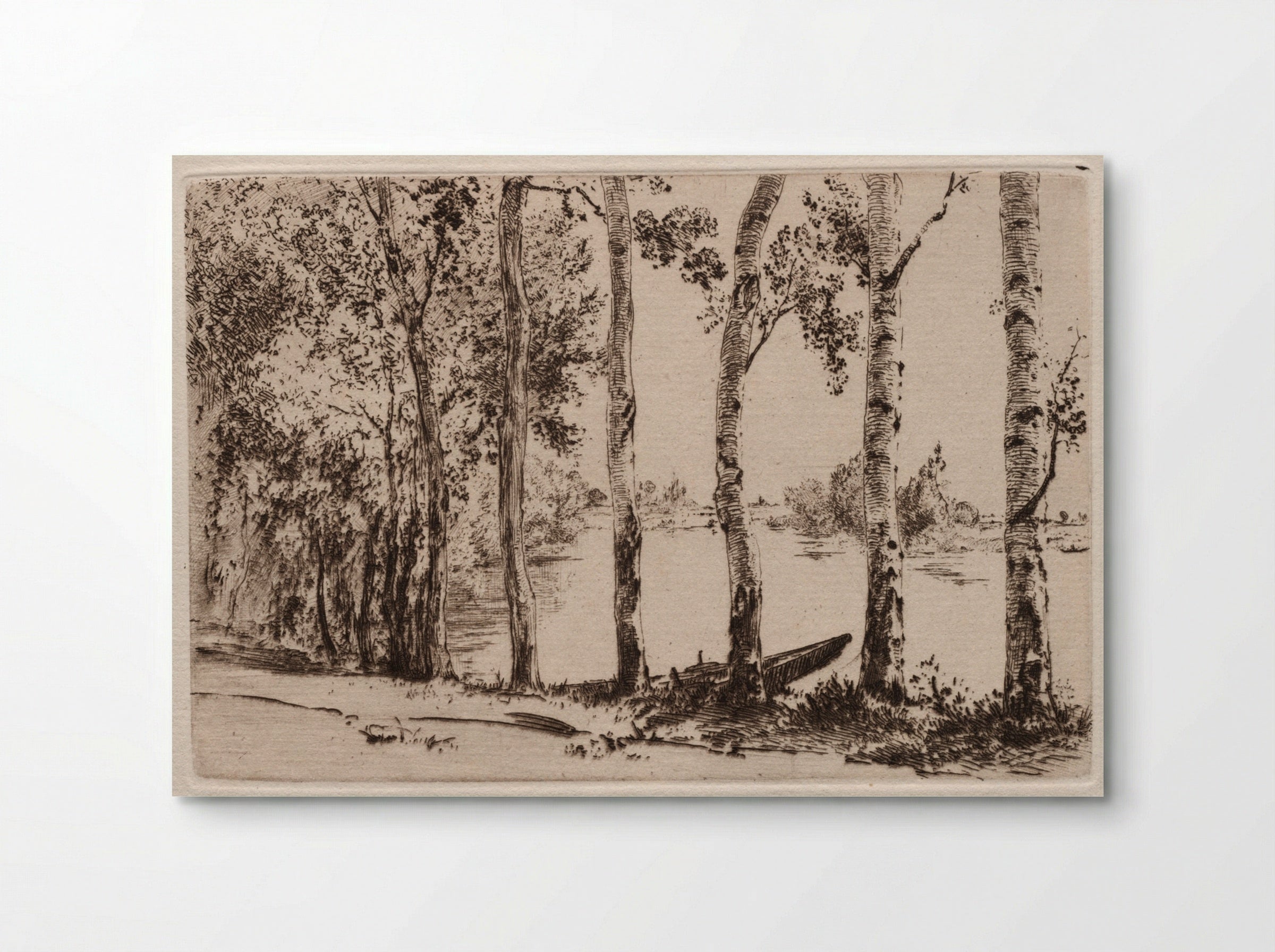 Aspens on the Bank of the Seine - Félix Bracquemond - Poster