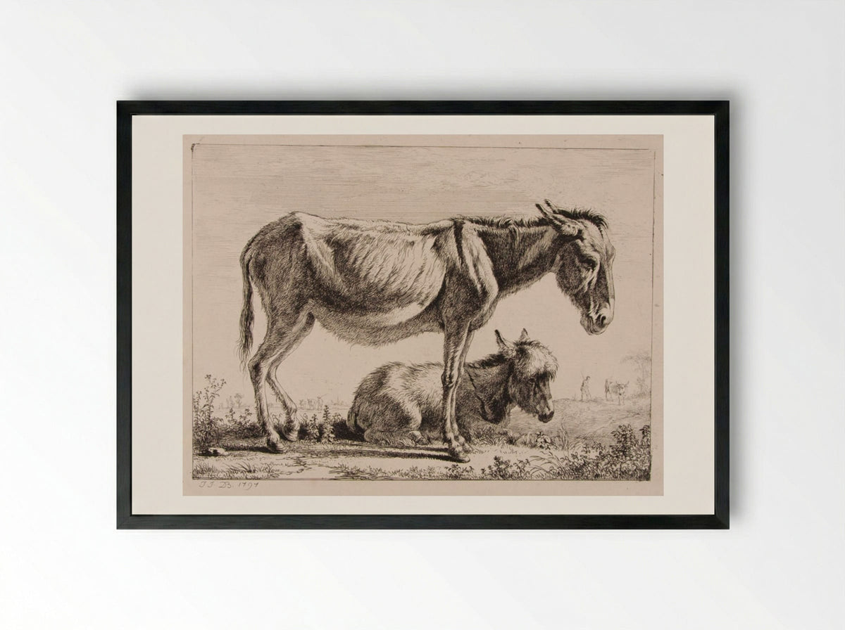 Ass with Her Foal - Jean-Jacques de Boissieu - Framed Print Black