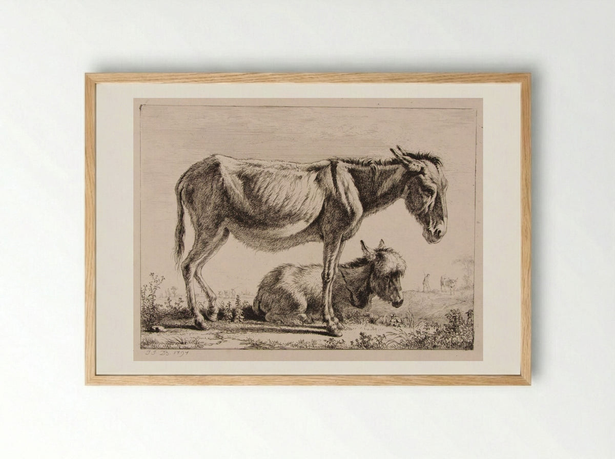 Ass with Her Foal - Jean-Jacques de Boissieu - Framed Print Wood