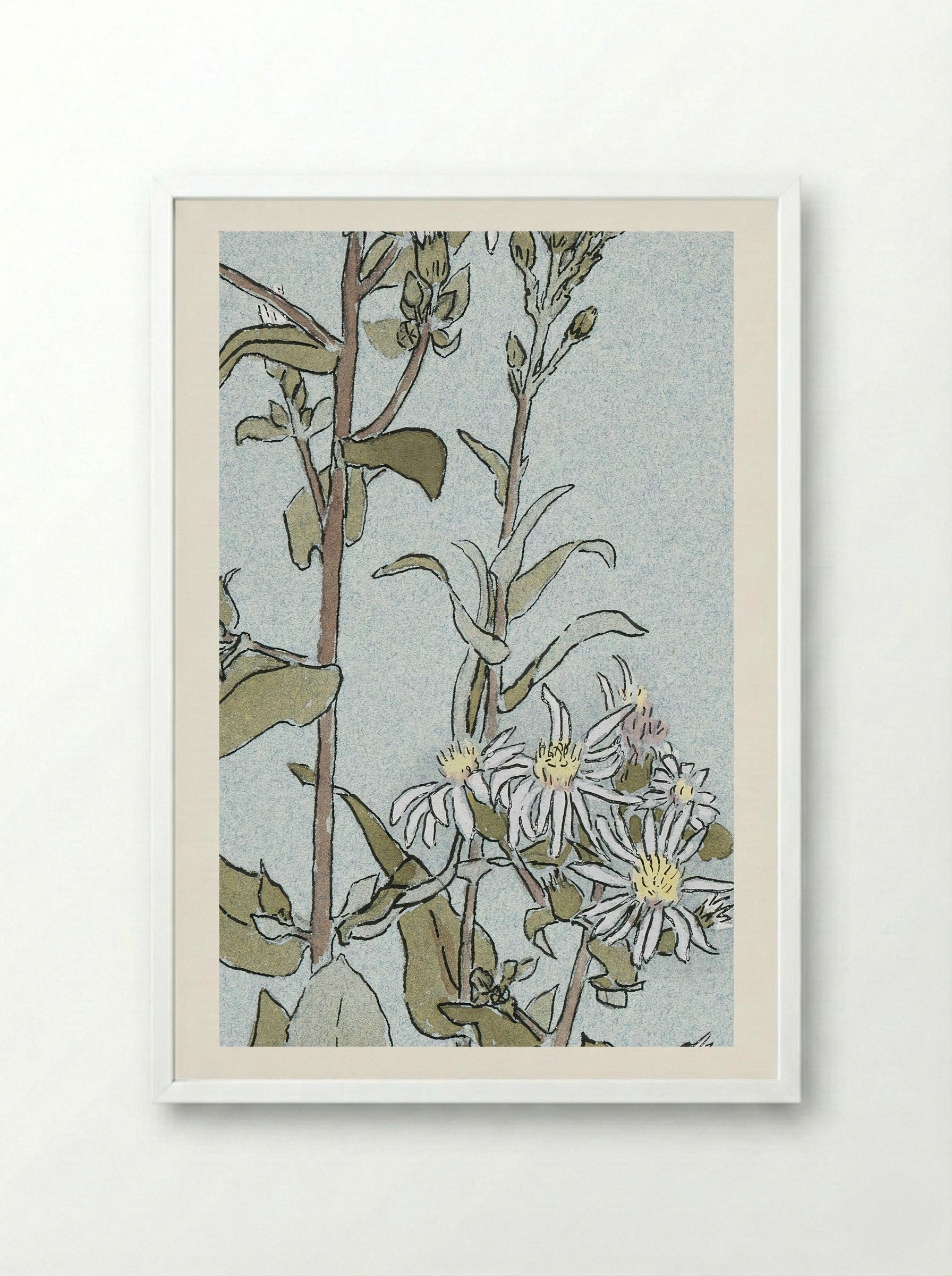 Aster (1915) - Hannah Borger Overbeck - Framed Print White