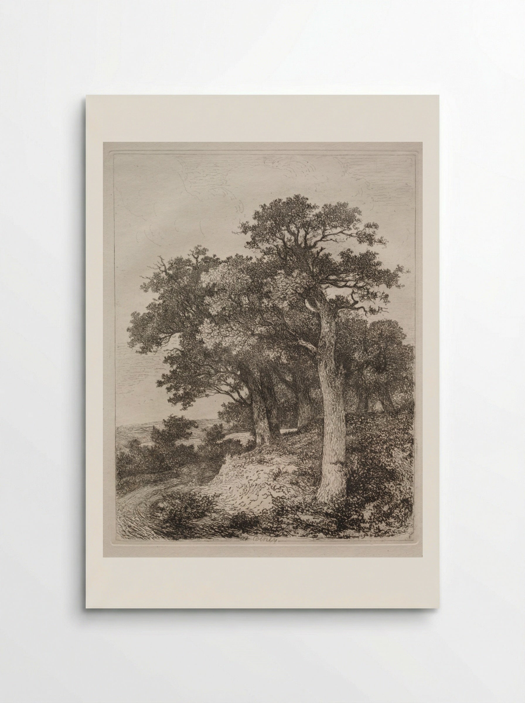 At Colney - John Crome - Poster
