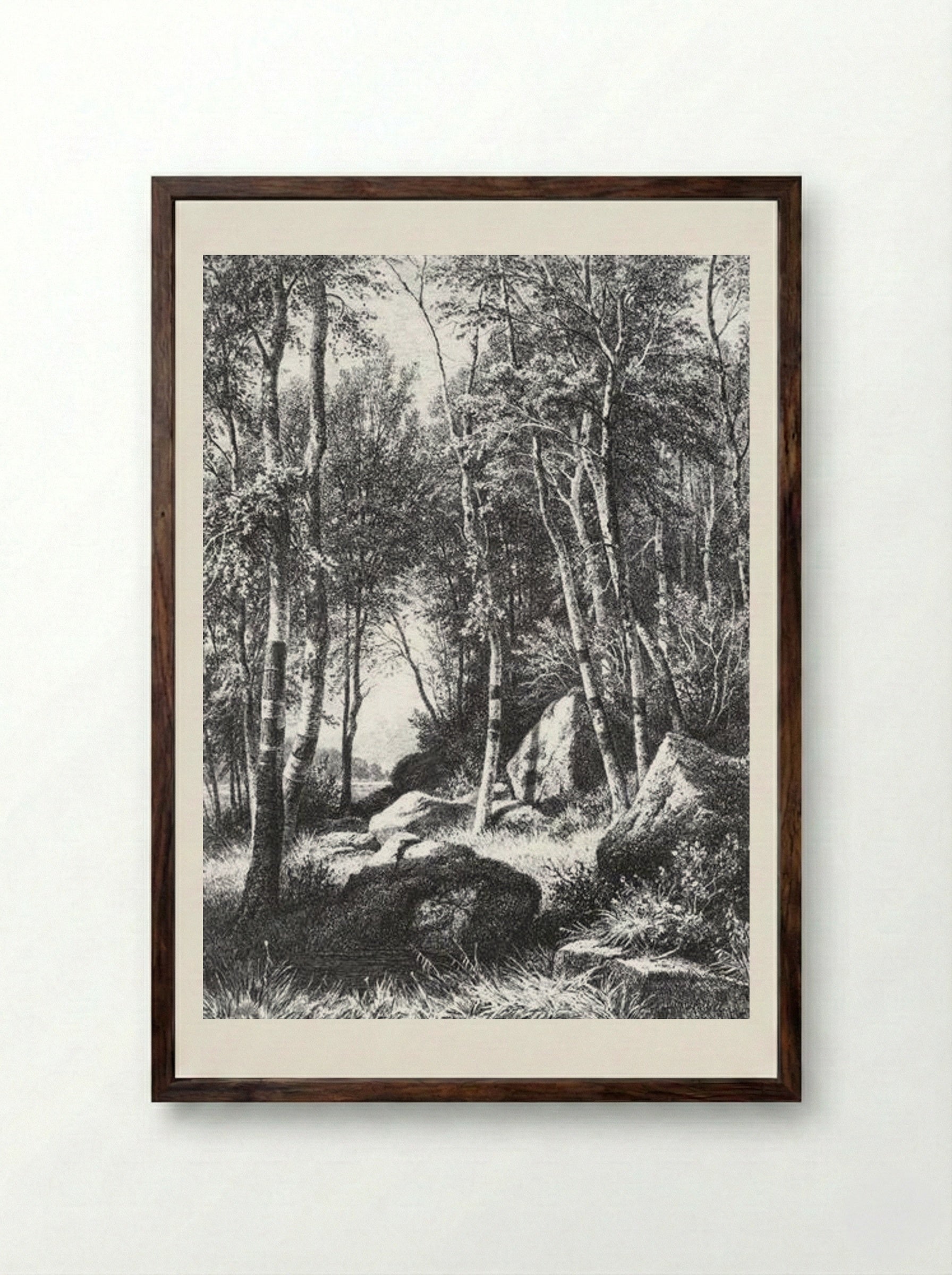 At the edge of a birch grove. Valaam - Ivan Shishkin - Framed Print Dark Wood