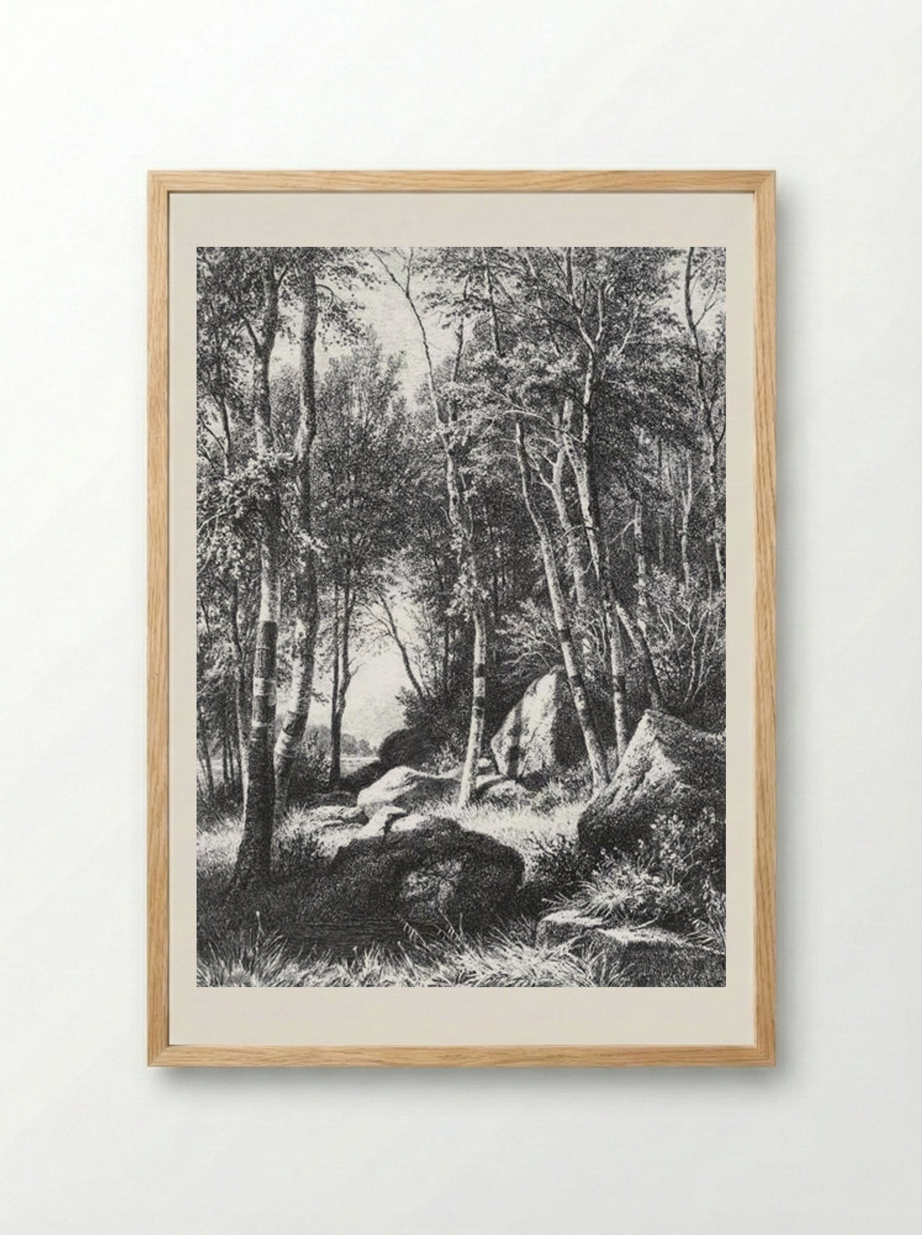 At the edge of a birch grove. Valaam - Ivan Shishkin - Framed Print Wood
