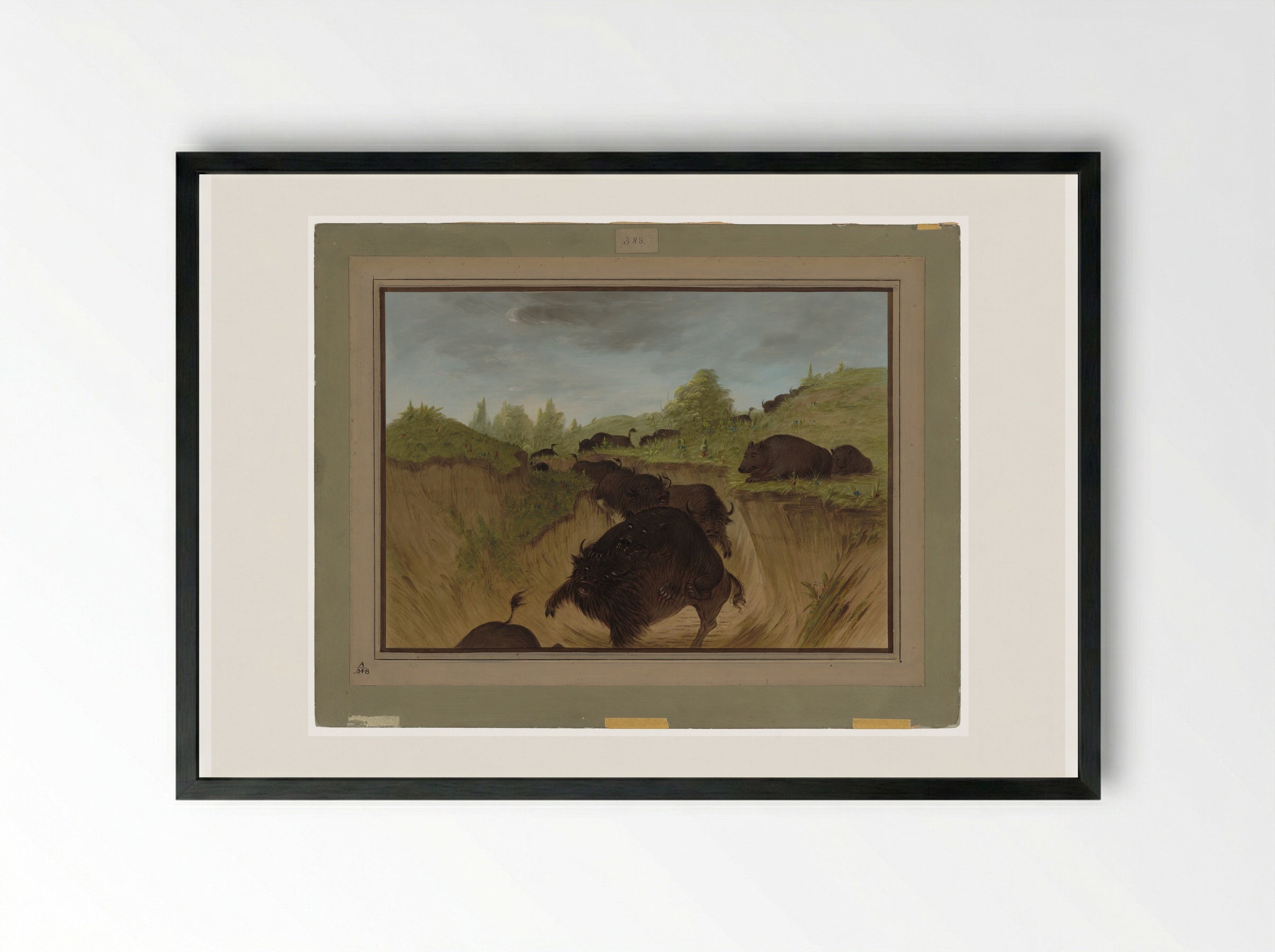 Attacking the Grizzly Bear - George Catlin - Framed Print Black