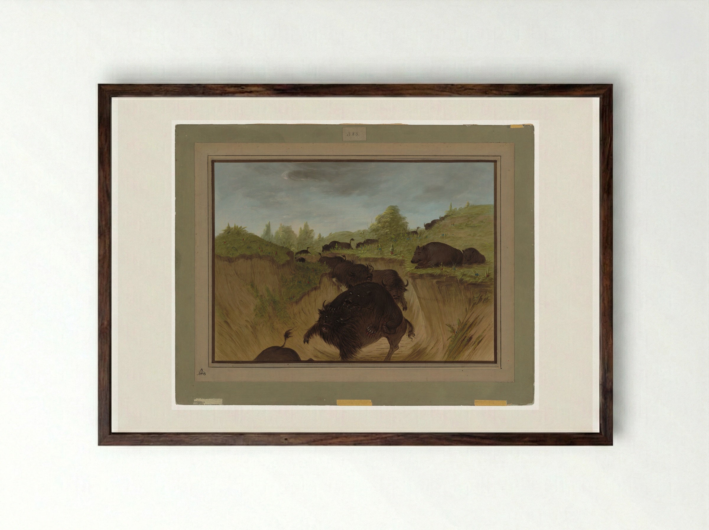 Attacking the Grizzly Bear - George Catlin - Framed Print Dark Wood