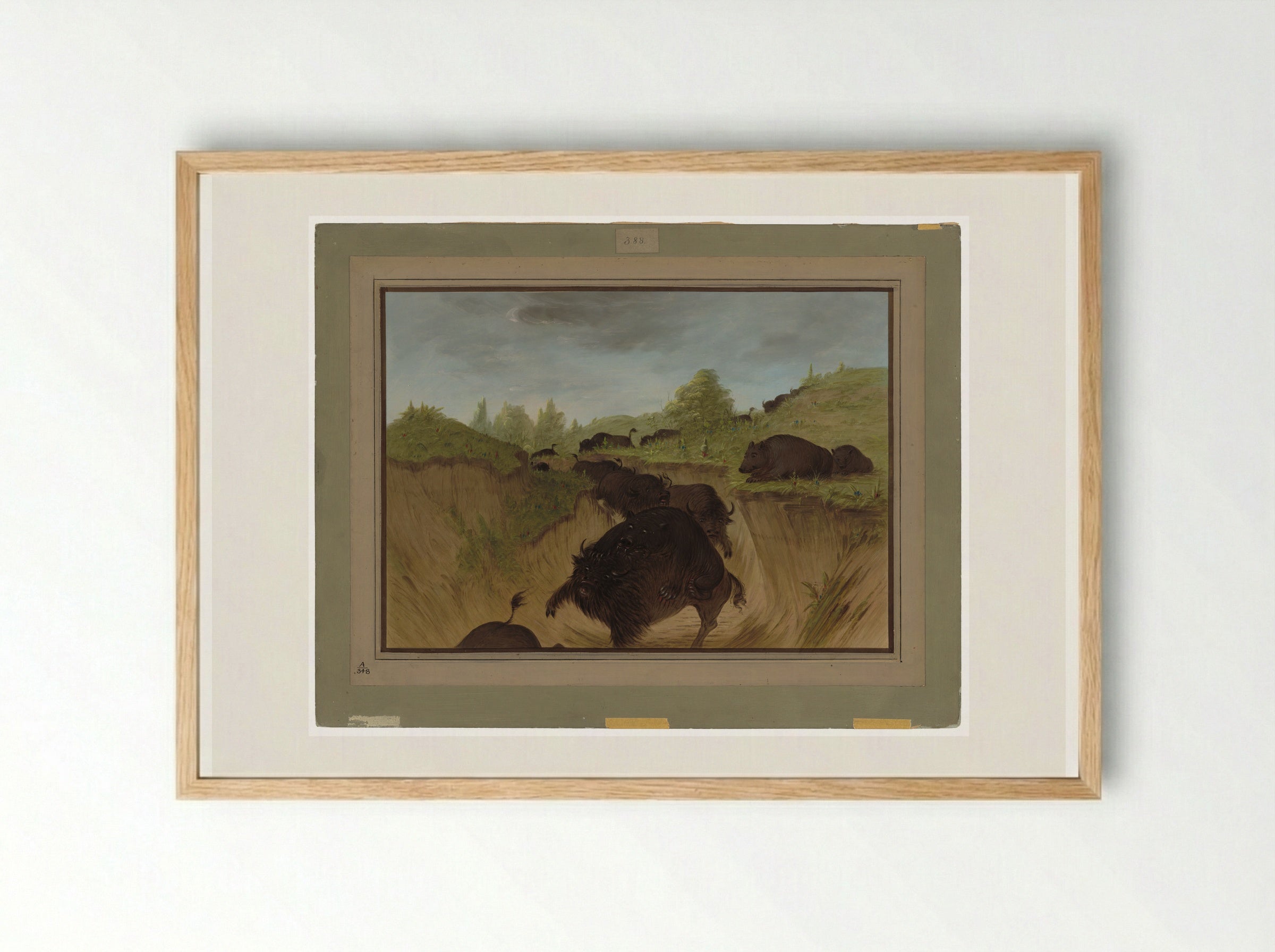 Attacking the Grizzly Bear - George Catlin - Framed Print Wood