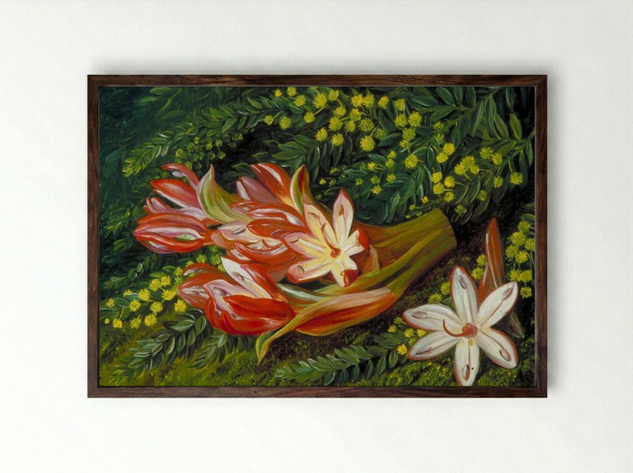 Australian Spear Lily and an Acacia - Marianne North - Framed Print Dark Wood
